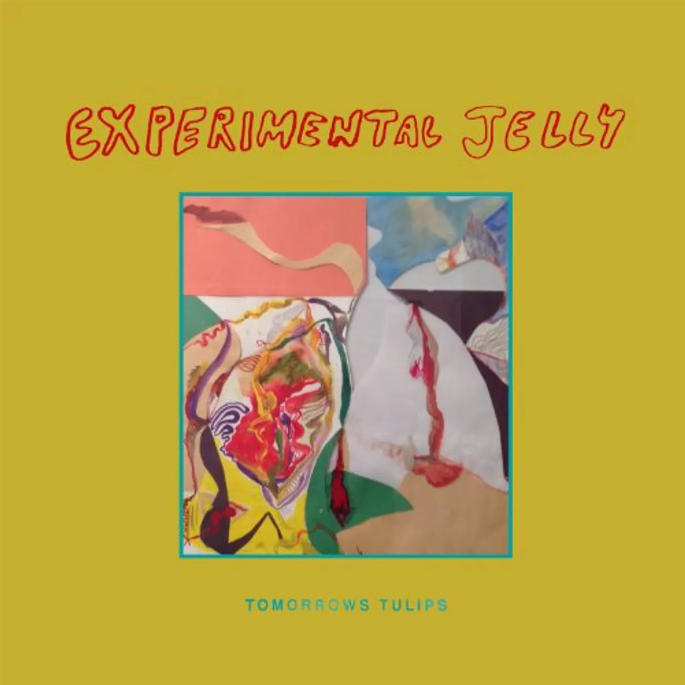 Tomorrows Tulips EXPERIMENTAL JELLY Vinyl Record