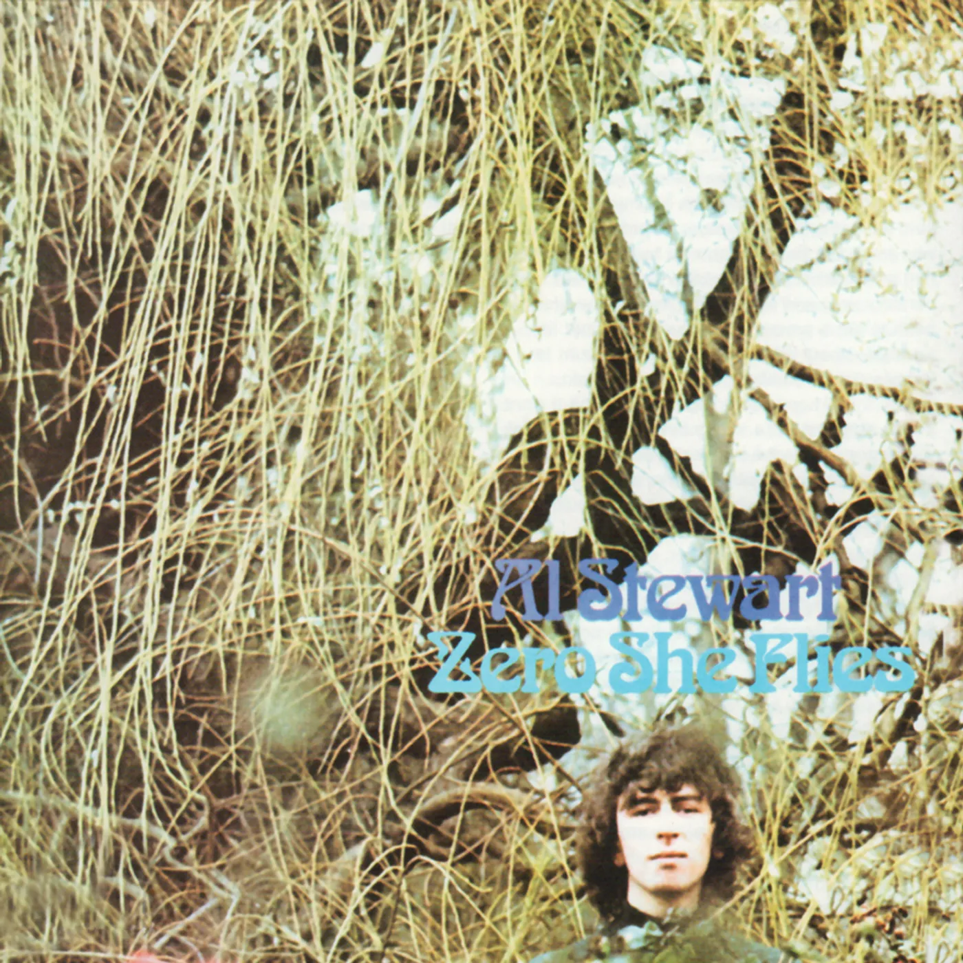 Al Stewart ZERO SHE FLIES & ORANGE CD