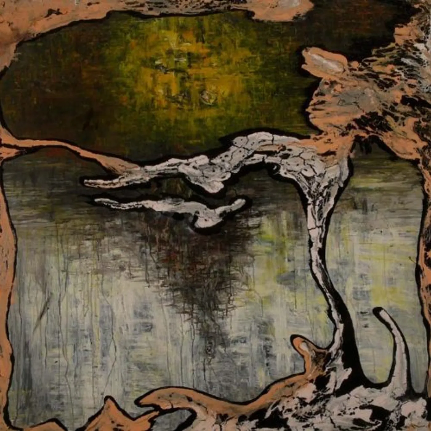 Julian Lynch Terra Vinyl Record