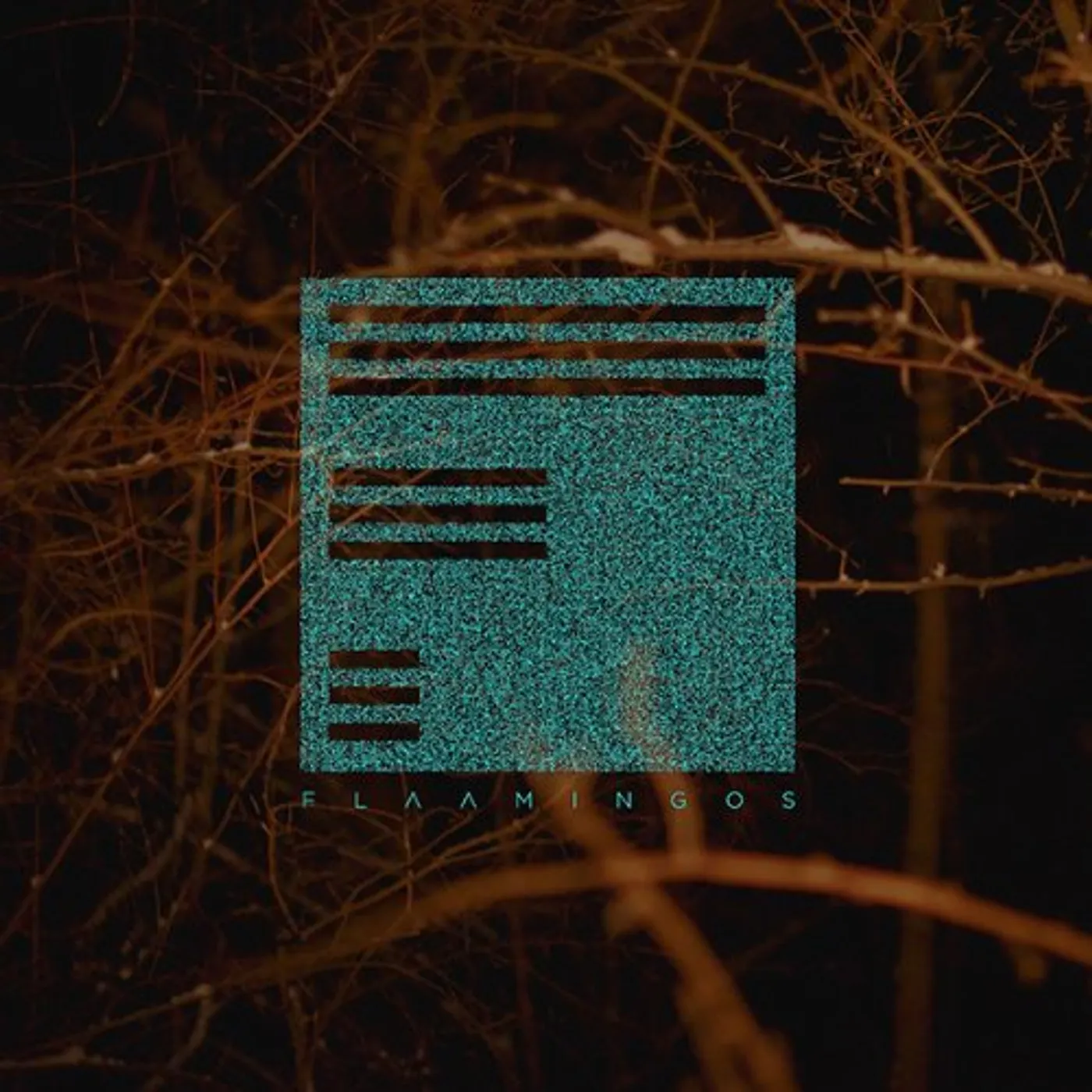 FLAAMINGOS CD