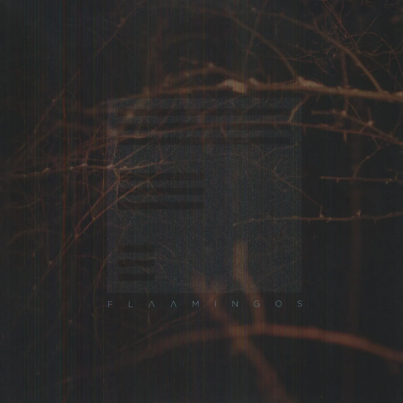 Flaamingos Vinyl Record