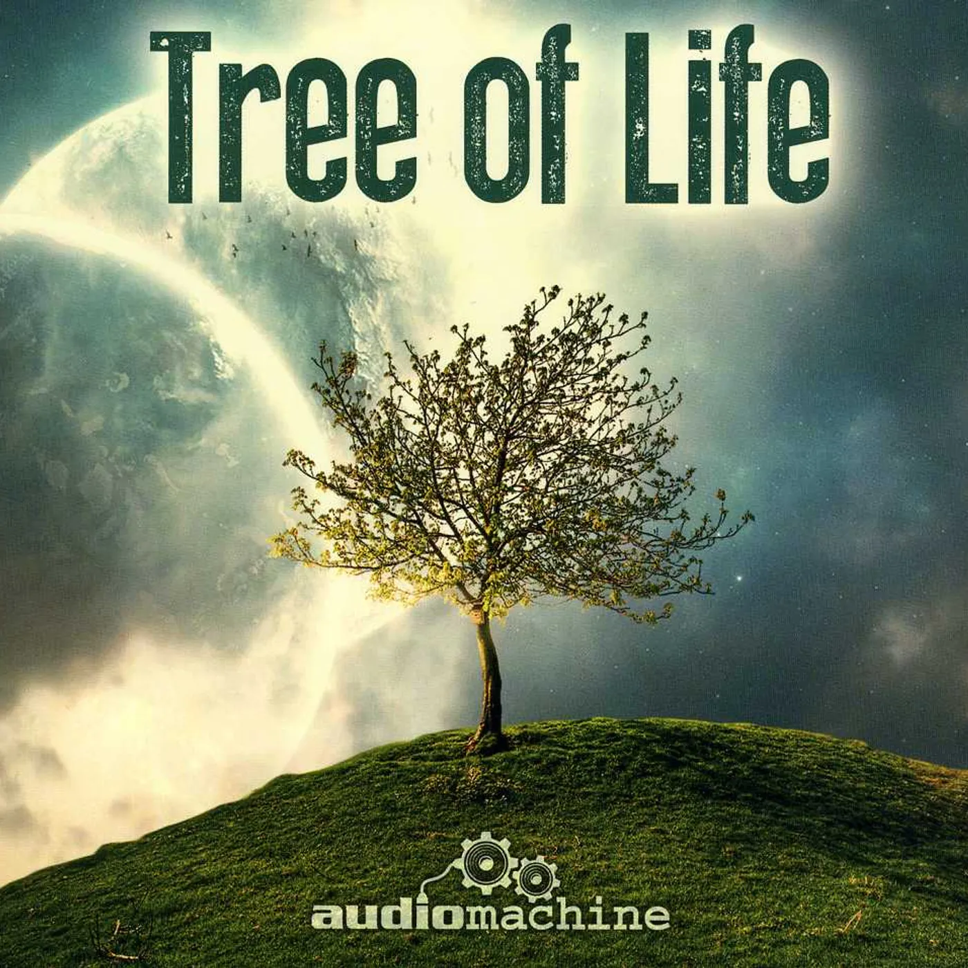 Audiomachine TREE OF LIFE CD