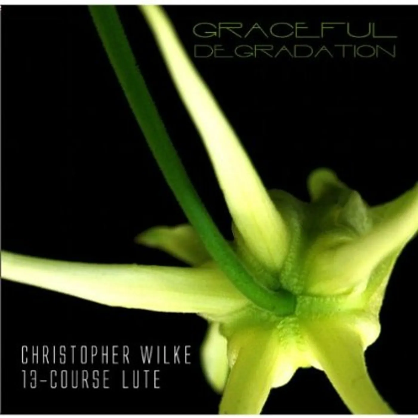 Christopher Wilke GRACEFUL DEGRADATION CD
