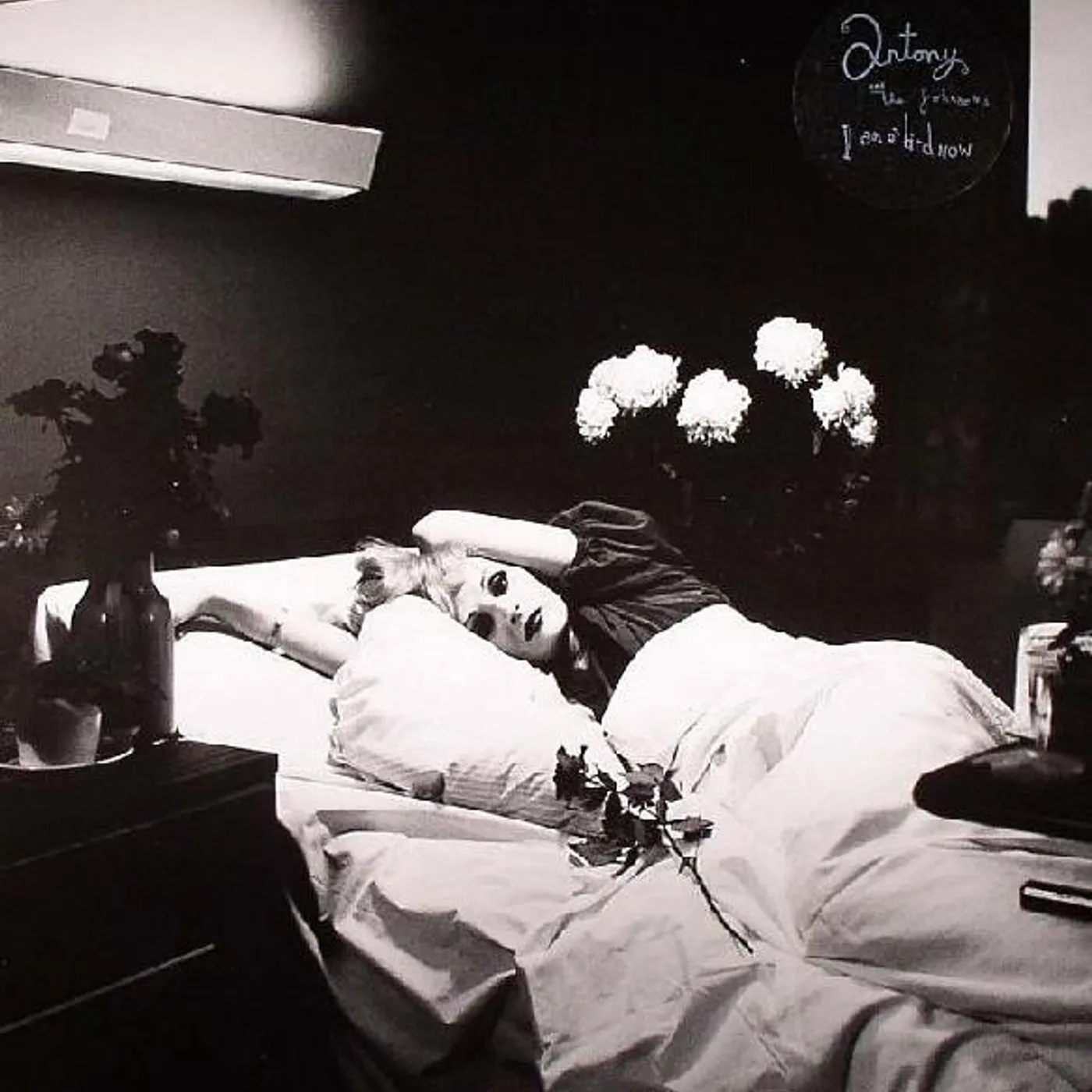 Antony and the Johnsons I AM A BIRD NOW CD