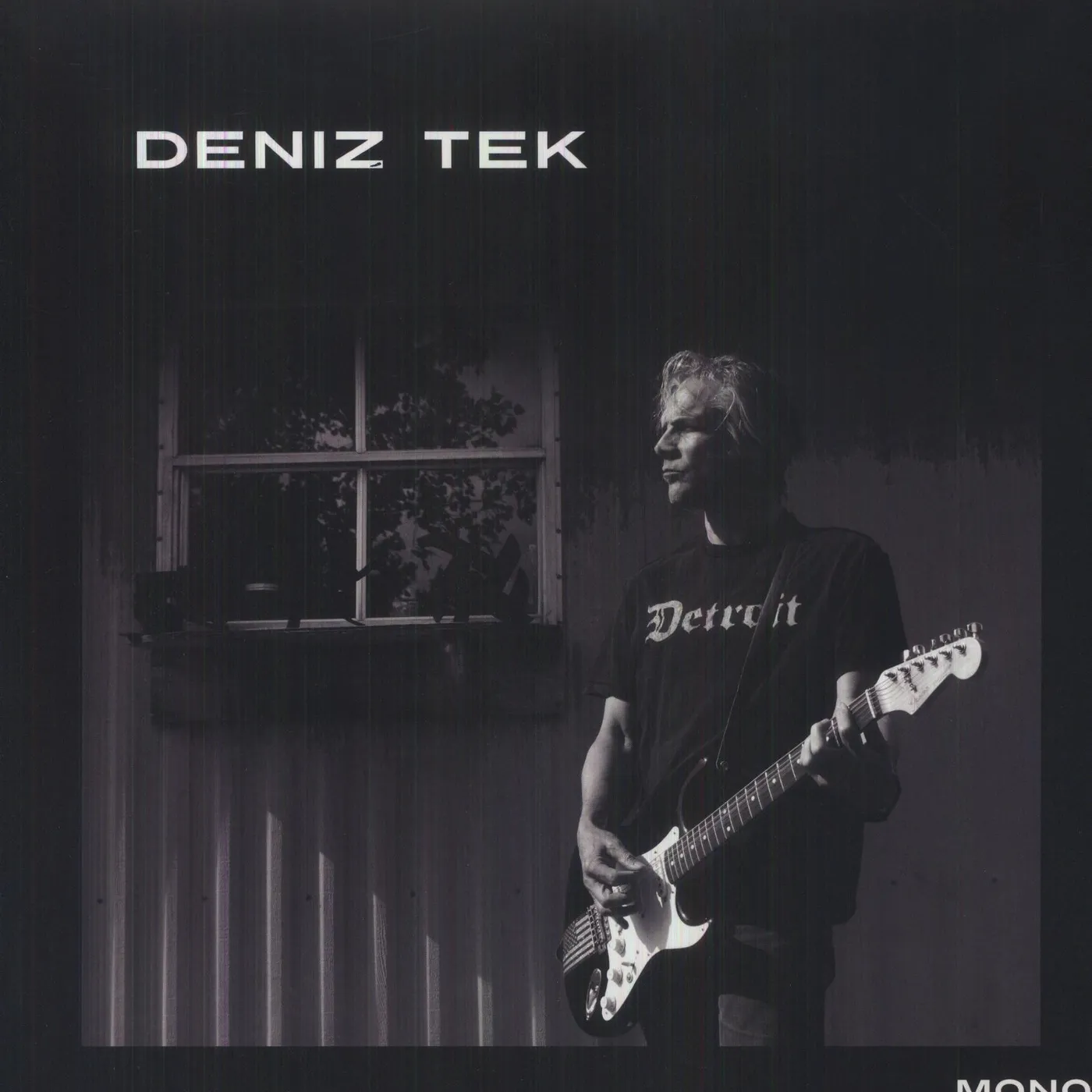 Deniz Tek Detroit Vinyl Record