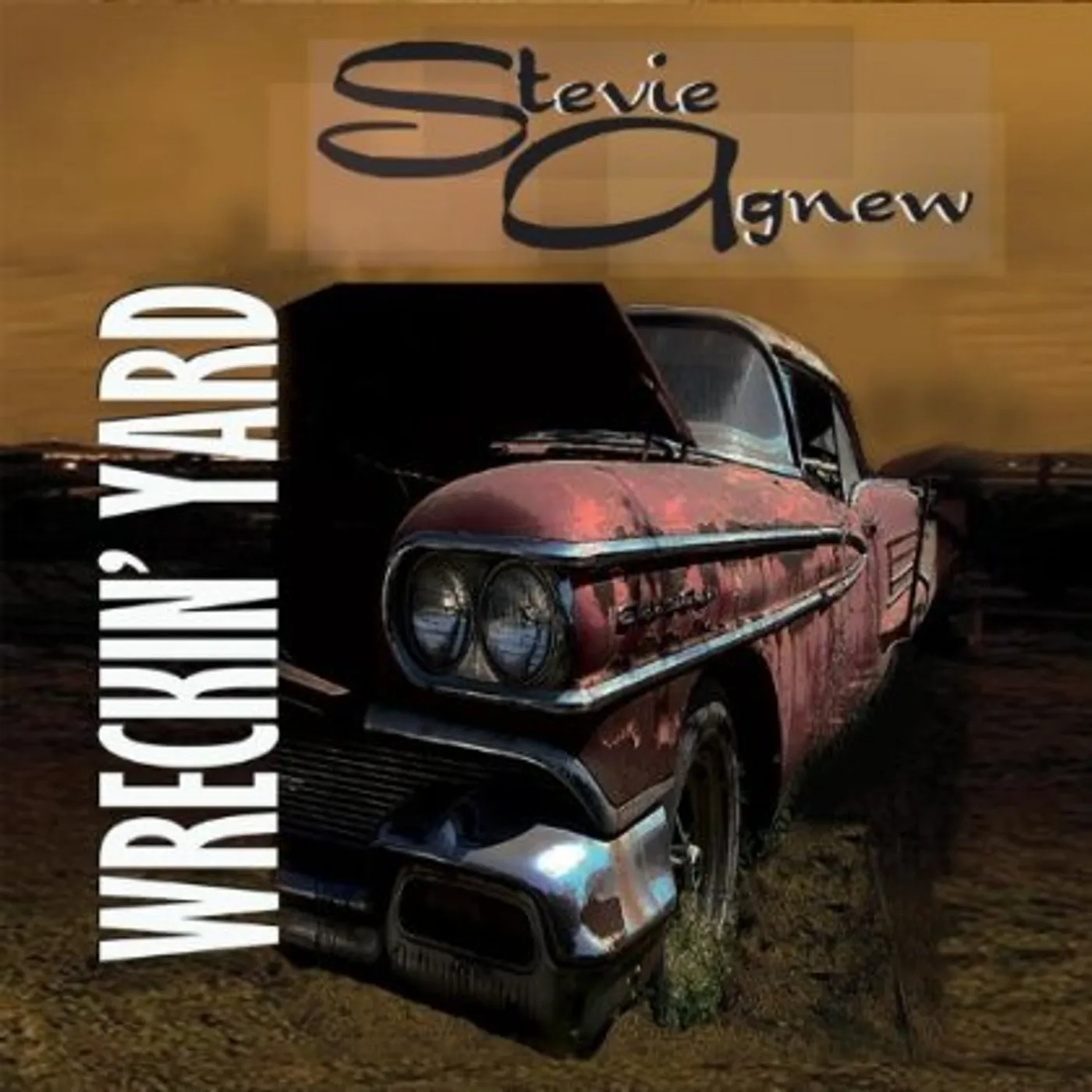 Stevie Agnew WRECKIN YARD CD