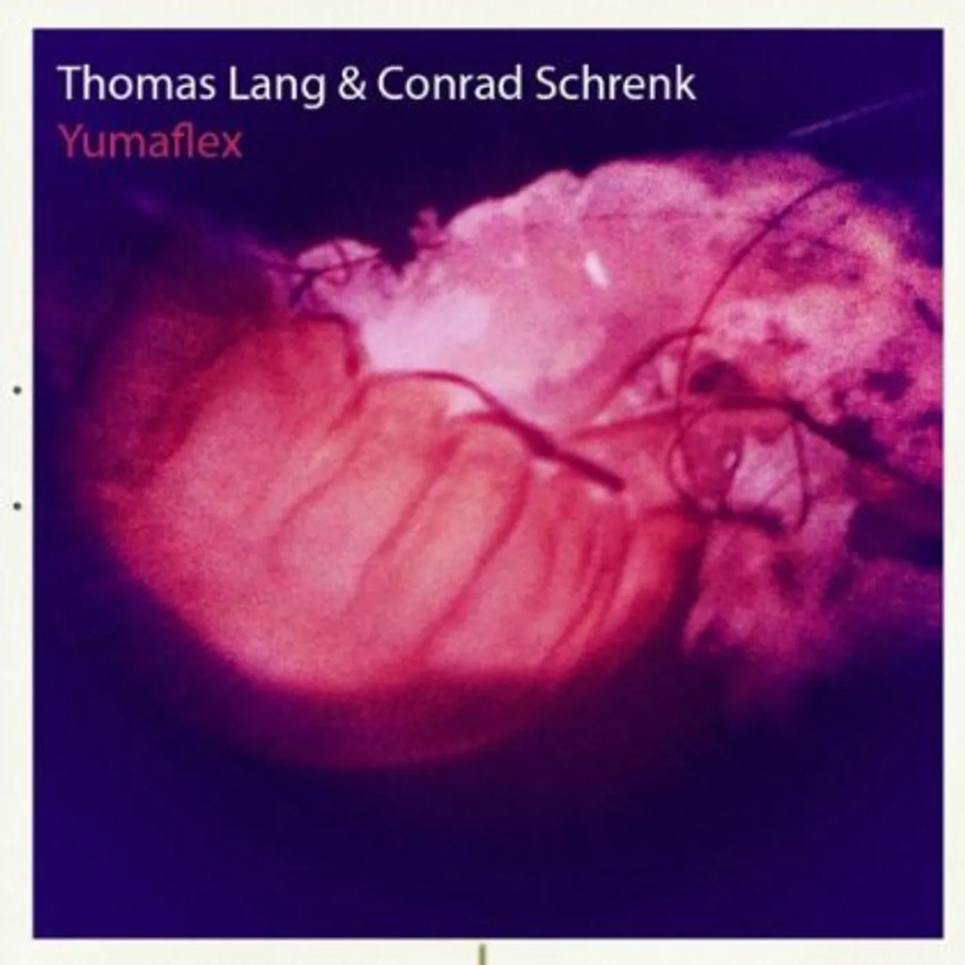 Thomas Lang YUMAFLEX CD