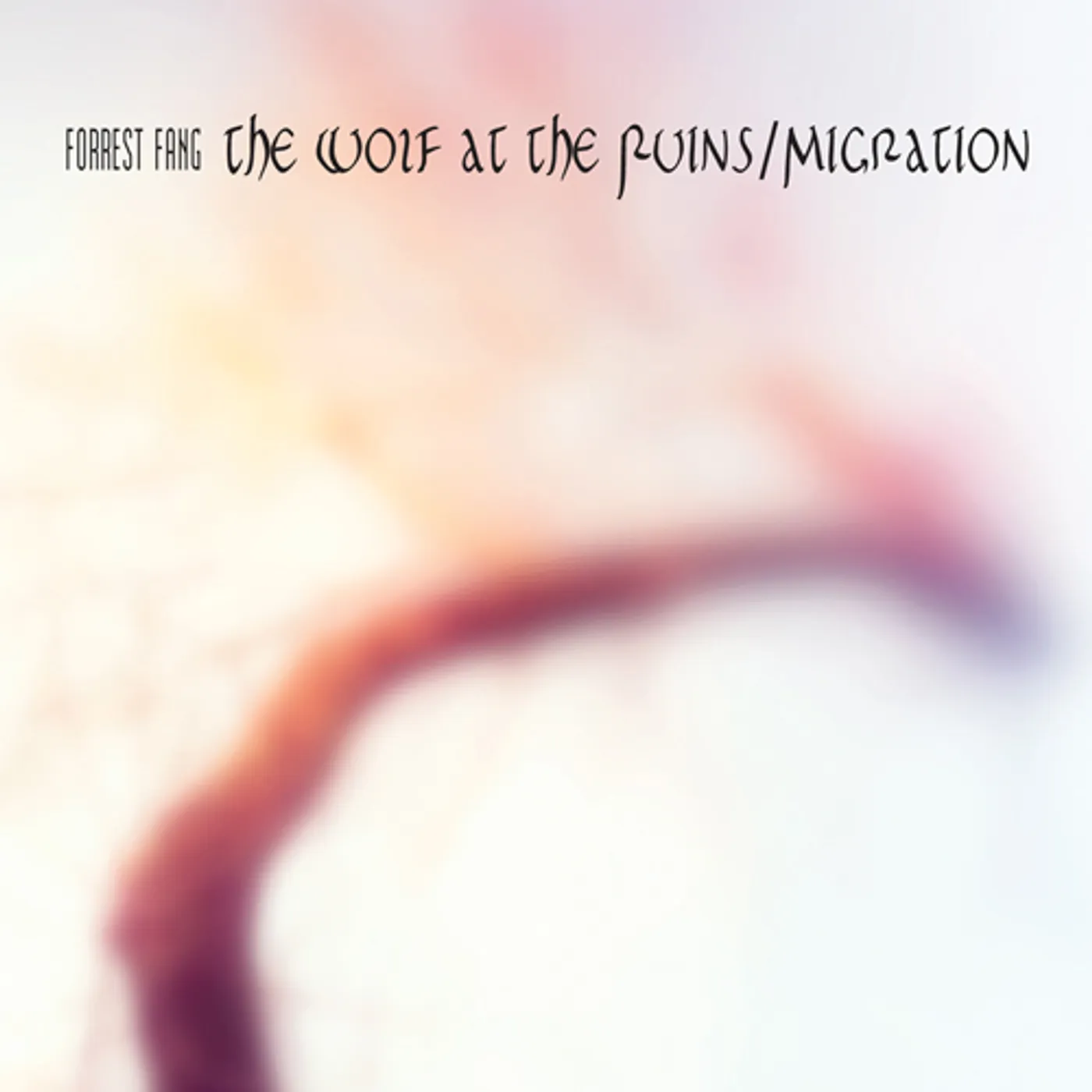 Forrest Fang WOLF AT THE RUINS / MIGRATION CD