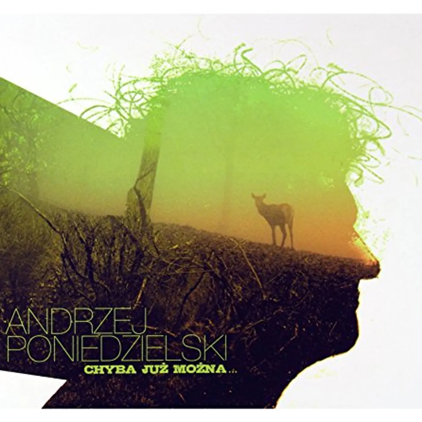 Andrzej Poniedzielski CHYBA JUZ MOZNA CD