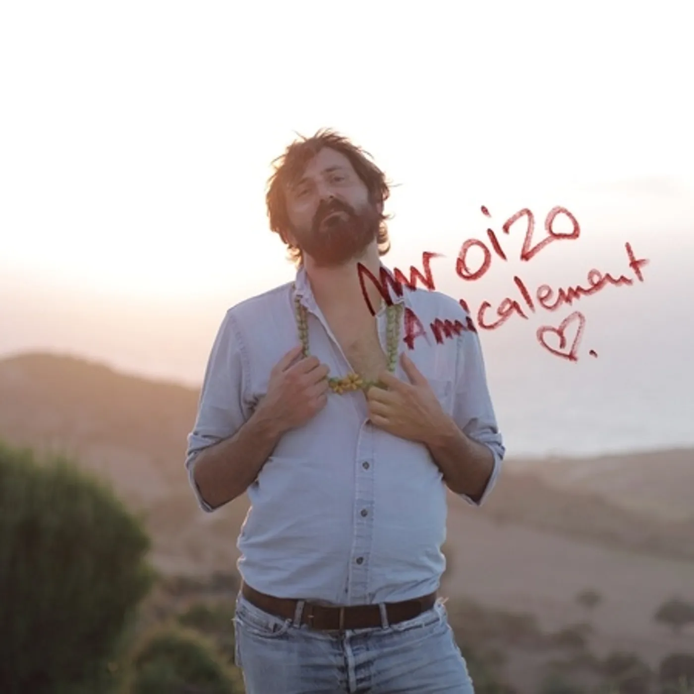 Mr. Oizo Amicalement Vinyl Record