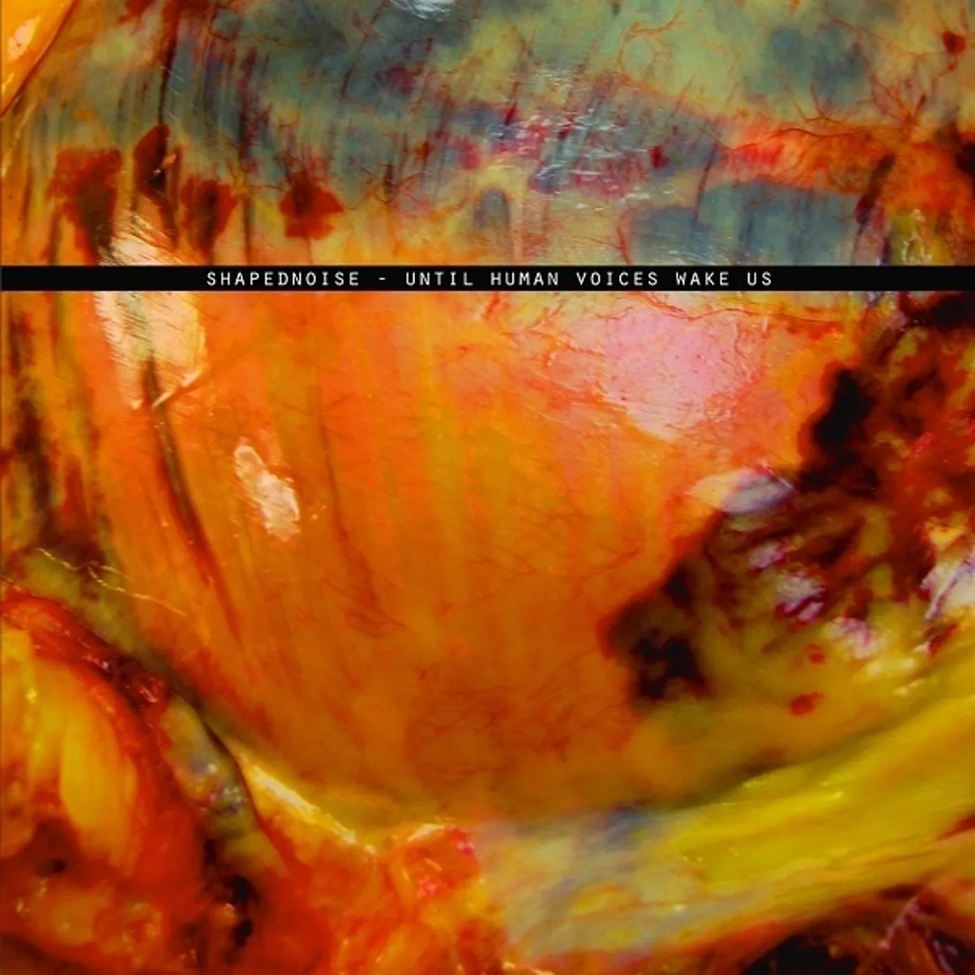 Shapednoise Until Human Voices Wake Us Vinyl Record