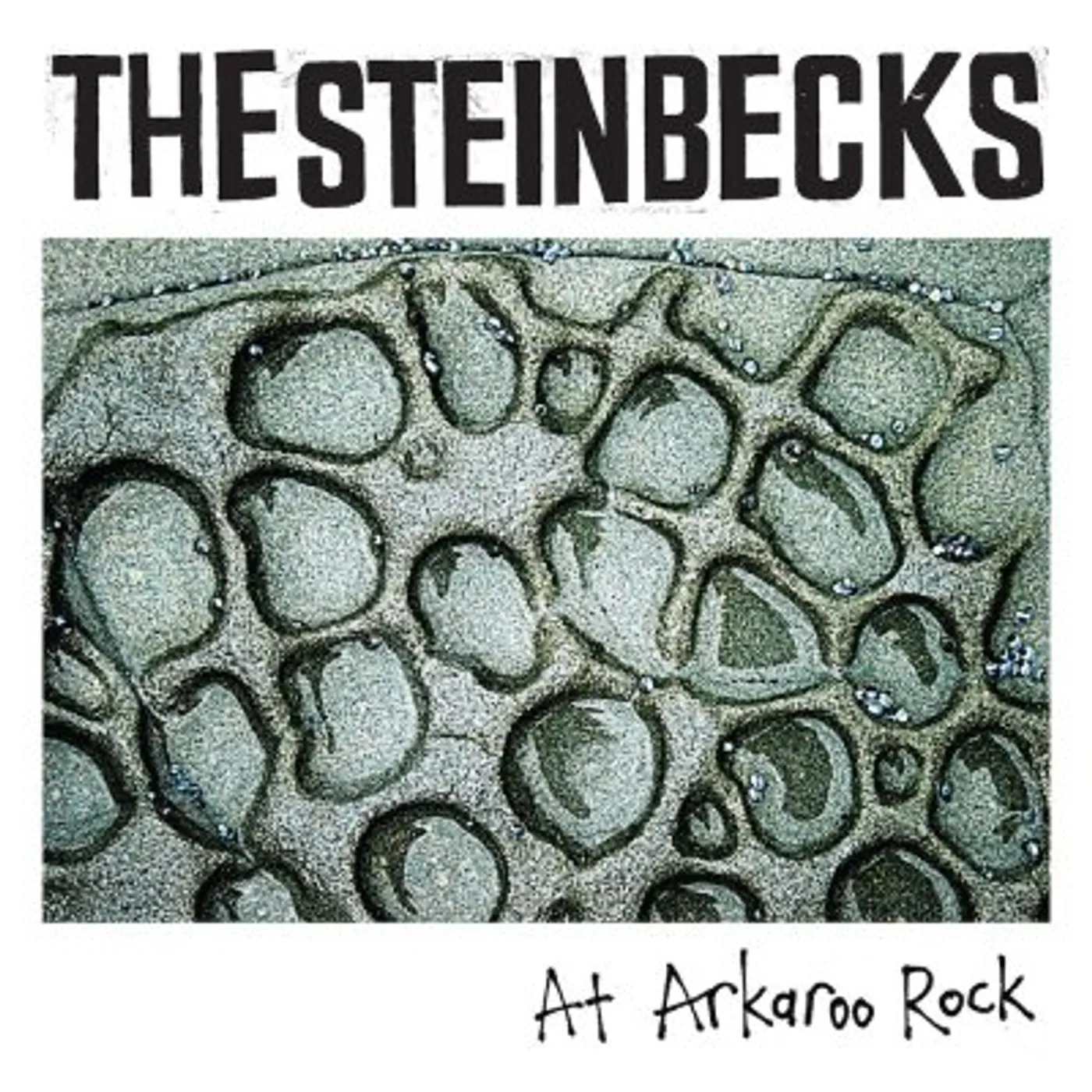 The Steinbecks AT ARKAROO ROCK Vinyl Record