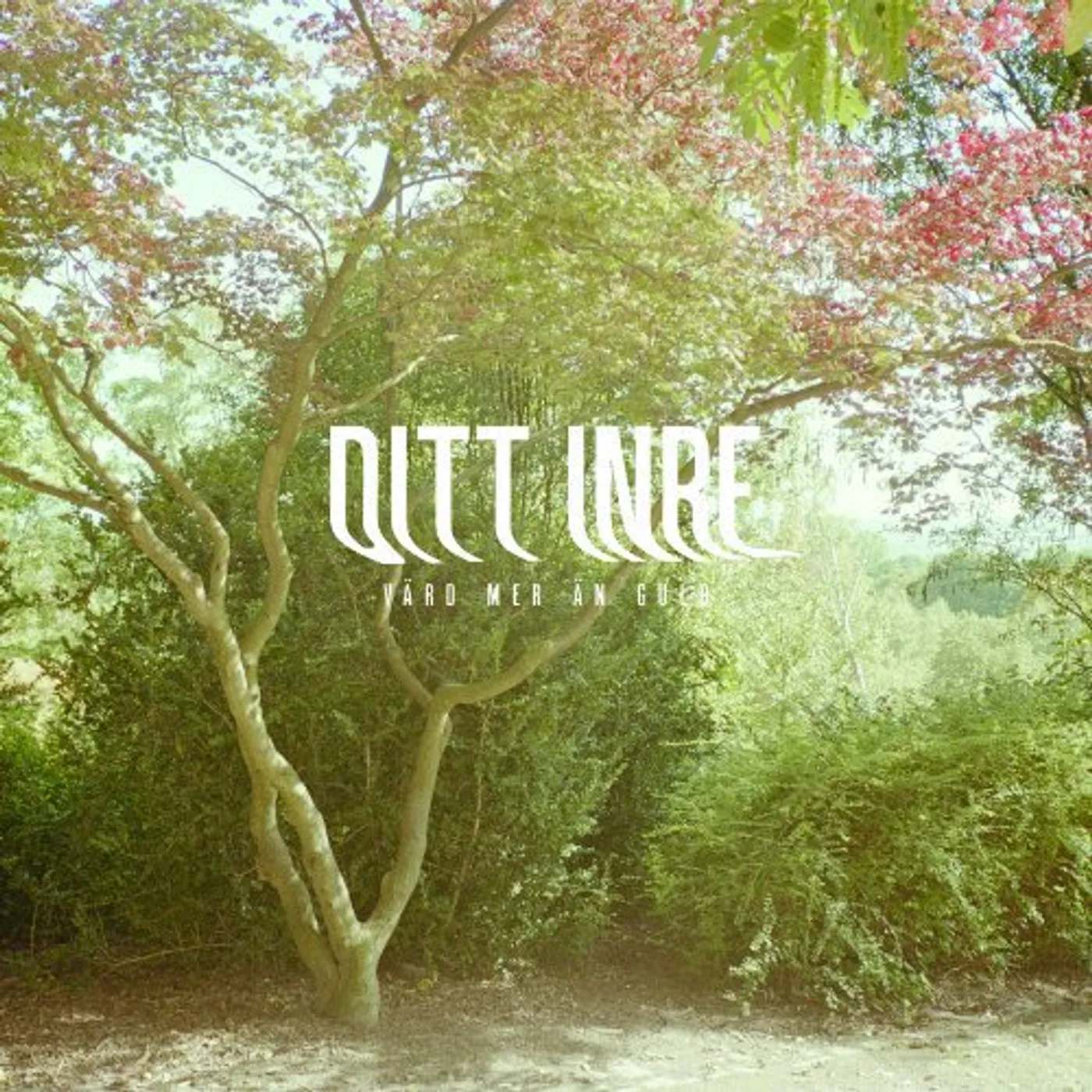 Ditt Inre Vard Mer An Guld Vinyl Record