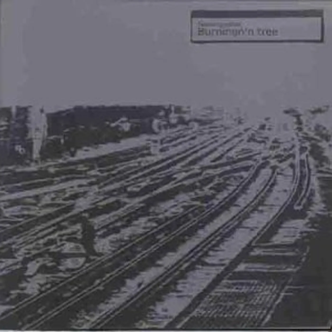 Squarepusher Burningn'n Tree Vinyl Record