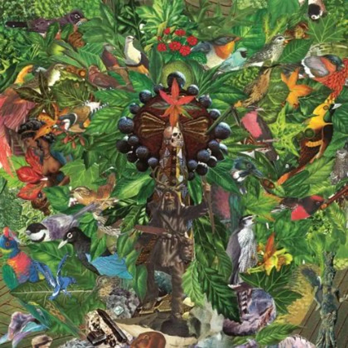 Plankton Wat Drifter's Temple Vinyl Record