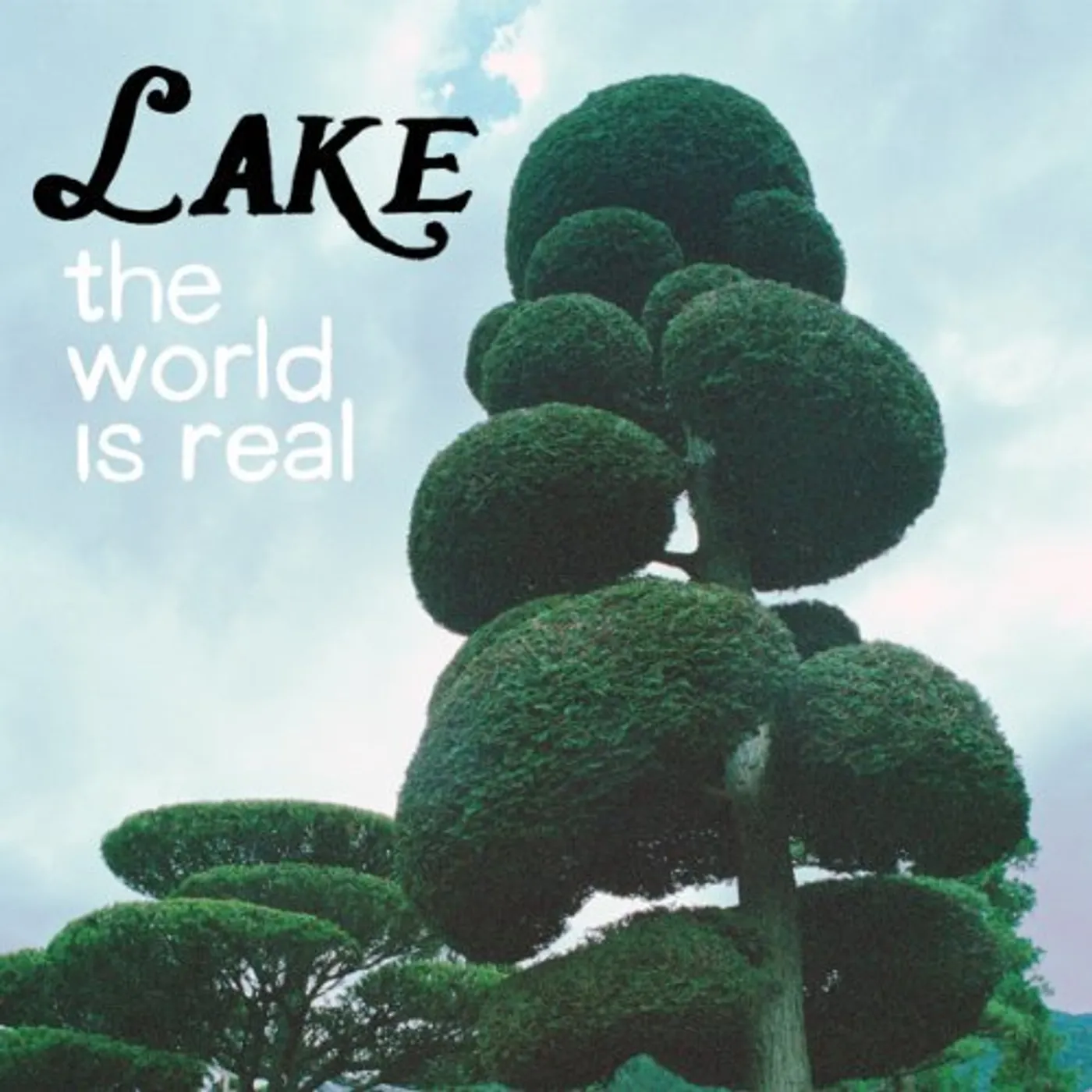 LAKE WORLD IS REAL Vinyl Record