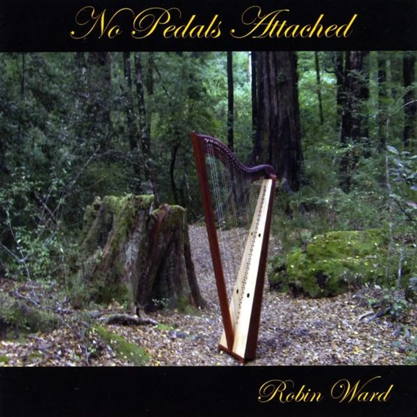Robin Ward NO PEDALS ATTACHED CD