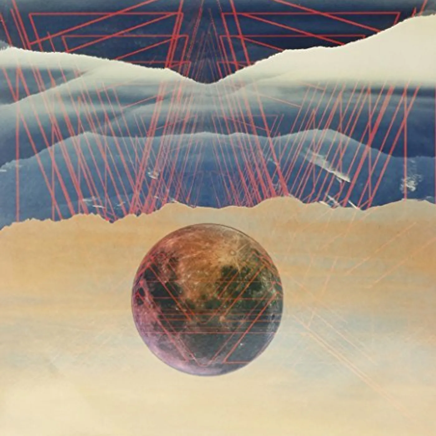 Black Bug Reflecting the Light Vinyl Record