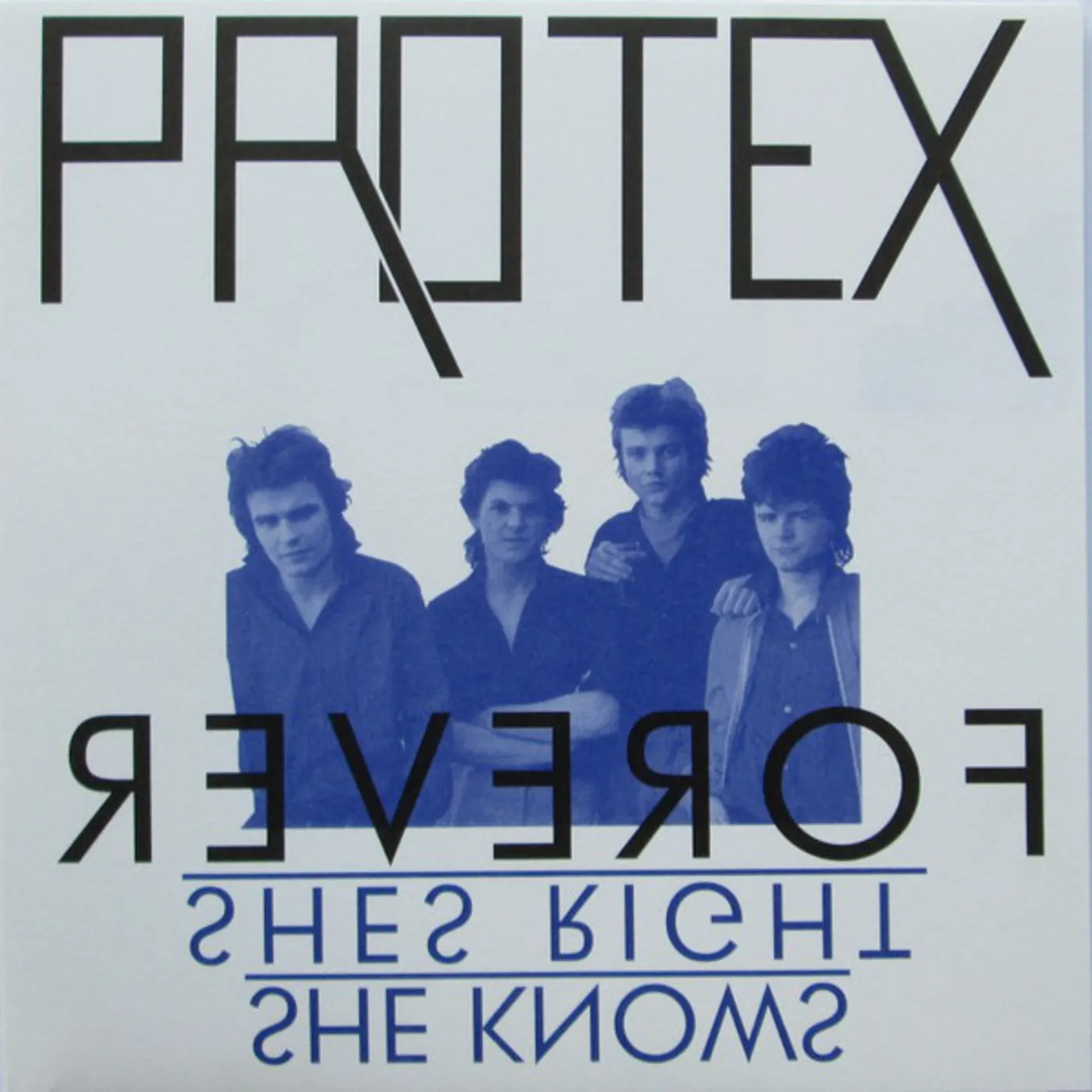 Protex FOREVER Vinyl Record