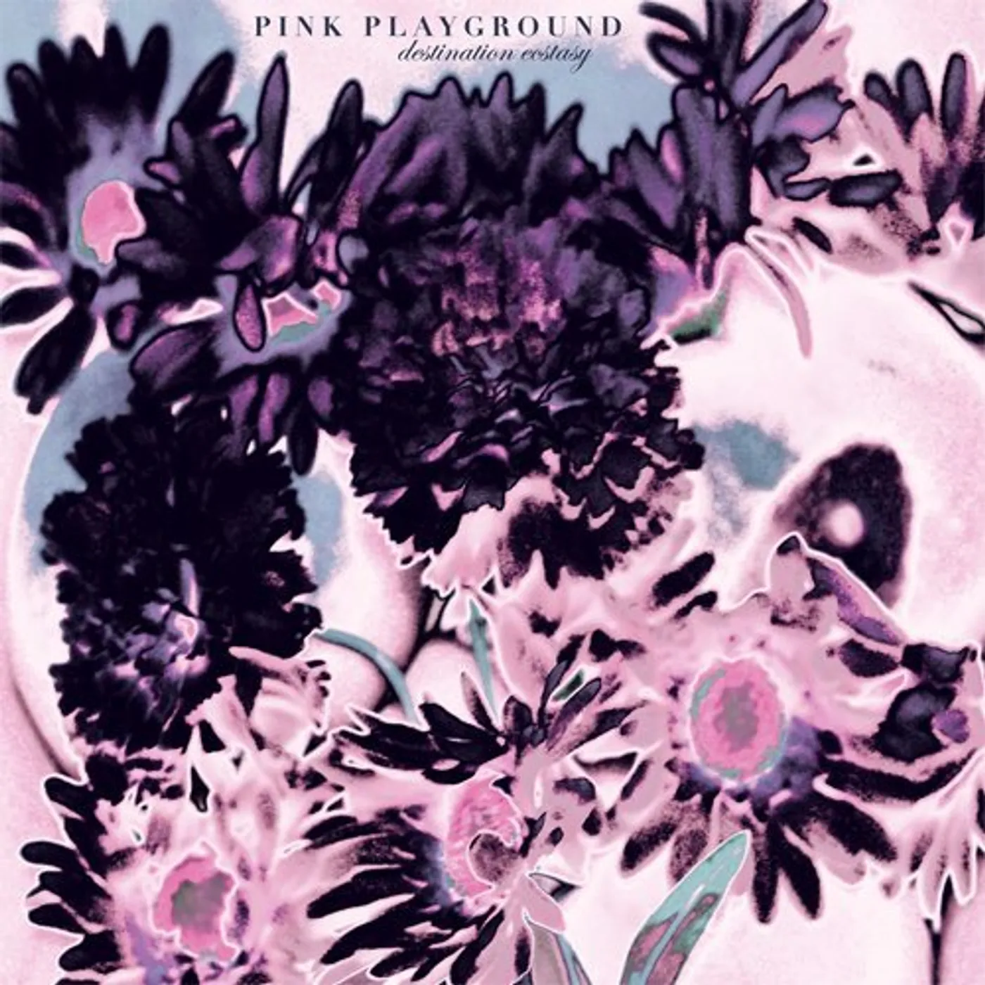 Pink Playground Destination Ecstasy Vinyl Record