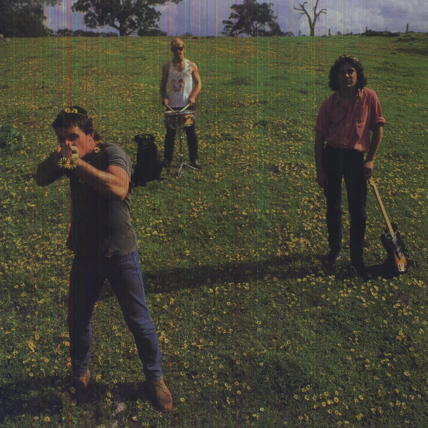 Cosmic Psychos Down On The Farm Vinyl Record