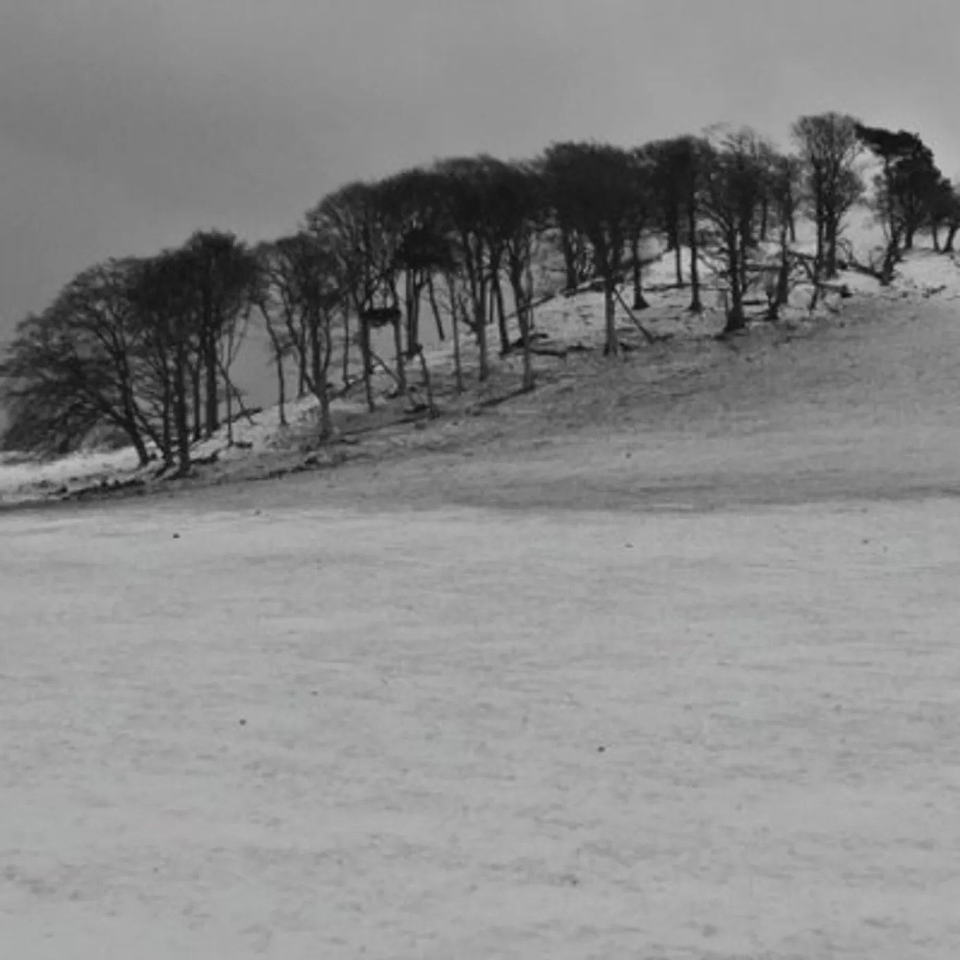 Last Days SATELLITE CD