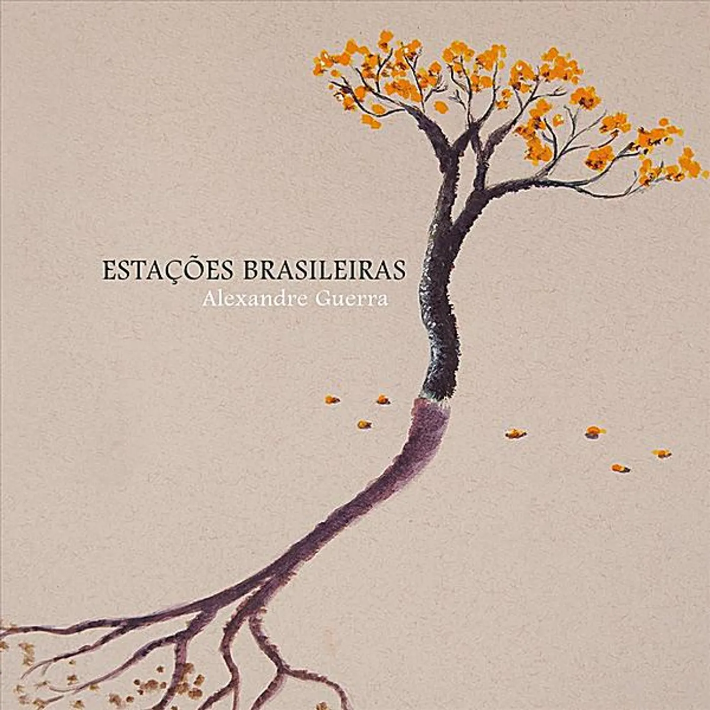 Alexandre Guerra ESTACOES BRASILEIRAS CD