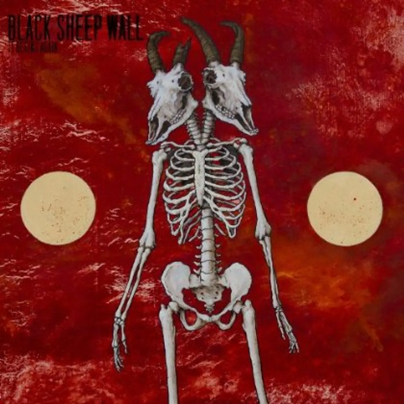 Black Sheep Wall It Begins Again Vinyl Record