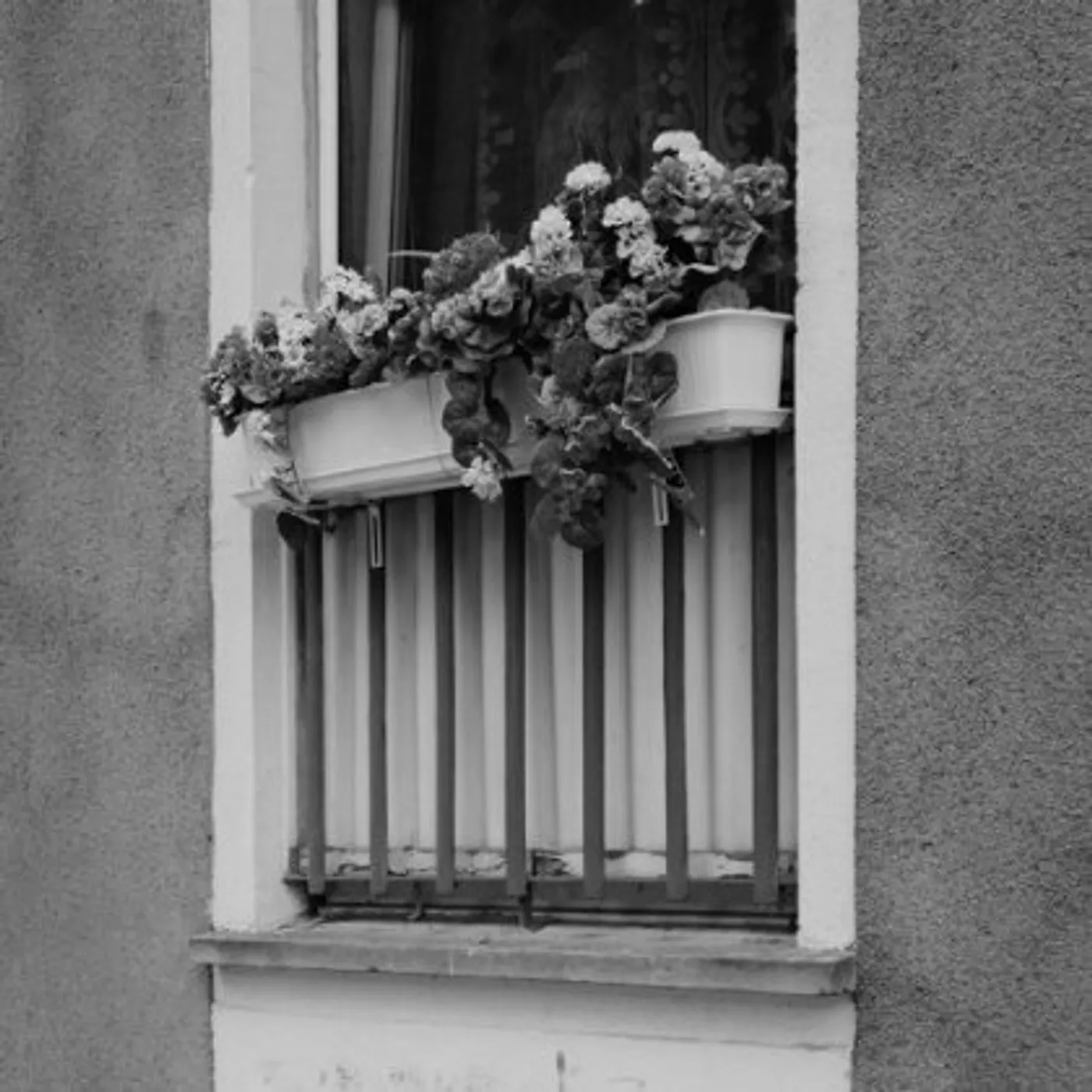 Pupkulies & Rebecca WOLDE Vinyl Record