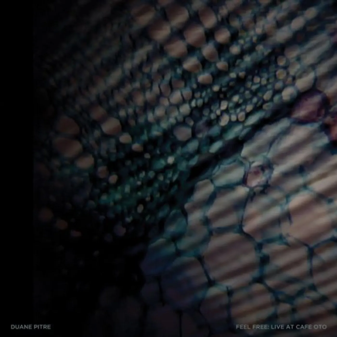 Duane Pitre FEEL FREE: LIVE AT CAFE OTO Vinyl Record