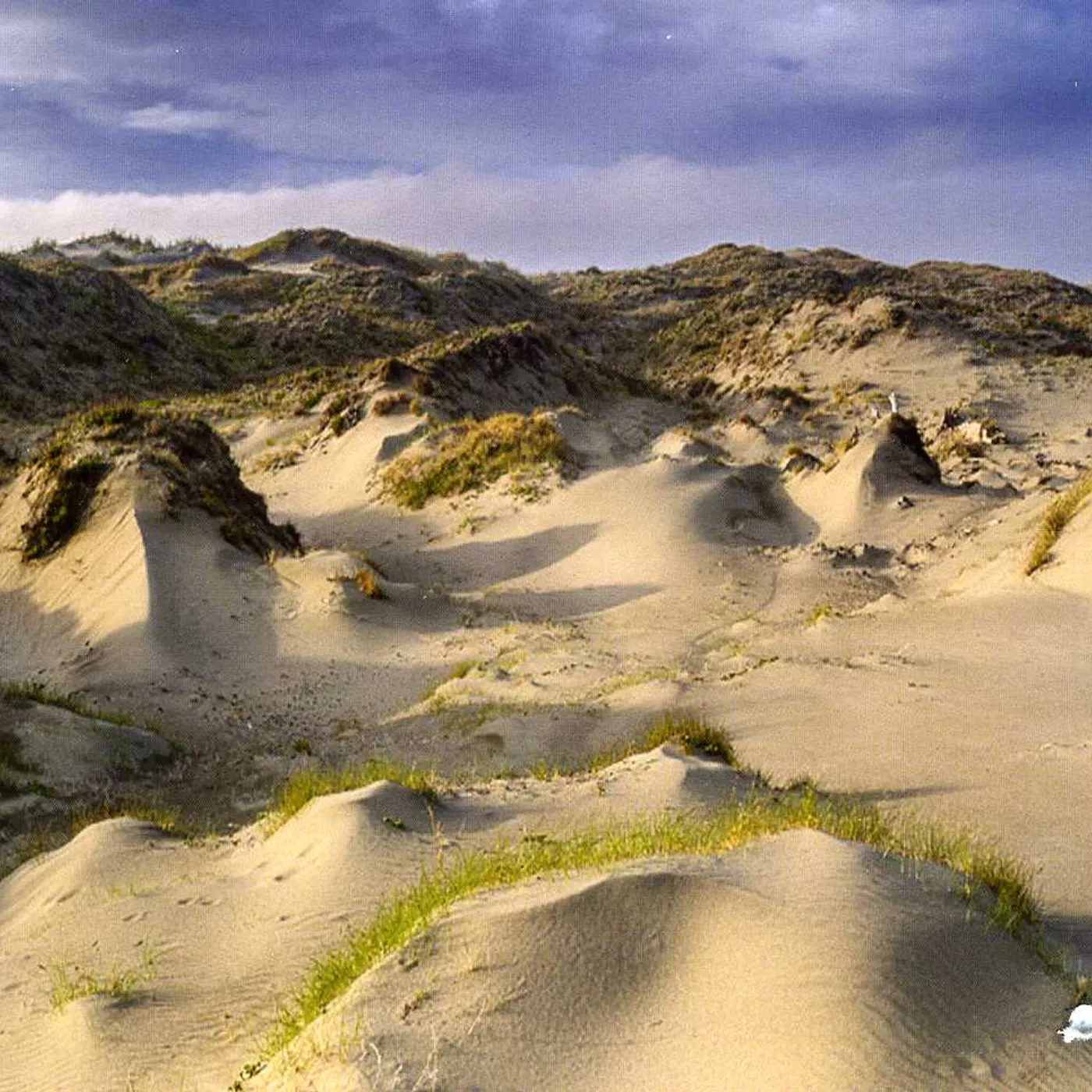 White Manna DUNE WORSHIP CD