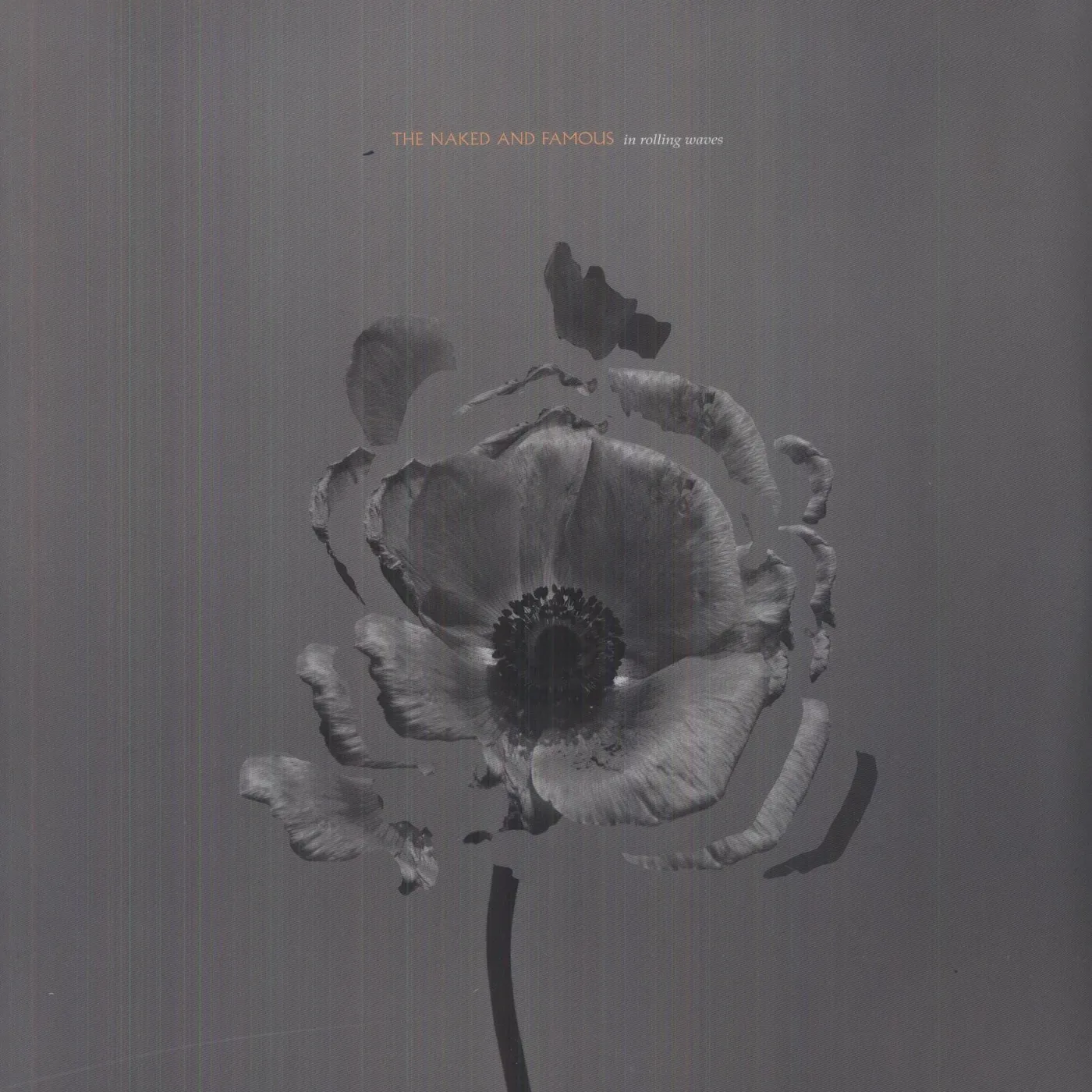 The Naked And Famous In Rolling Waves Vinyl Record