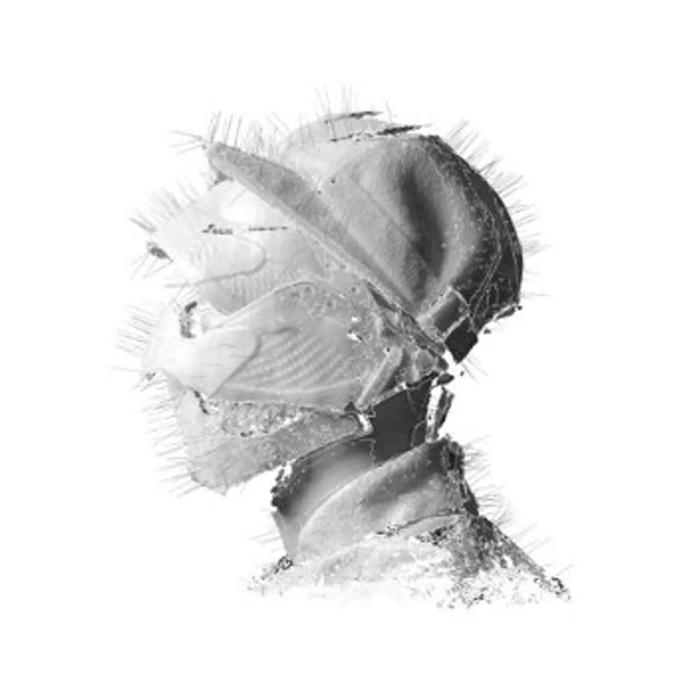 Woodkid GOLDEN AGE CD