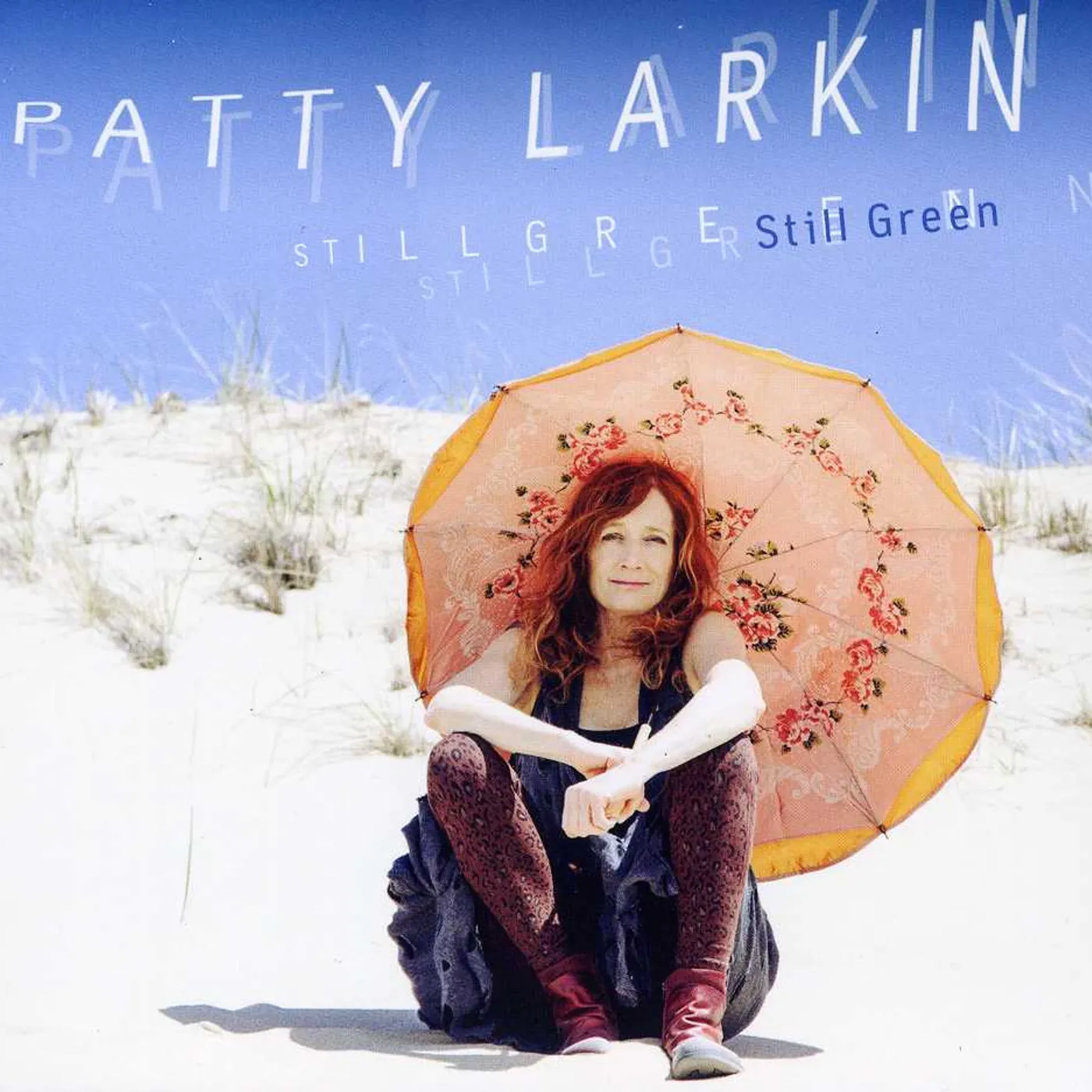 Patty Larkin STILL GREEN CD