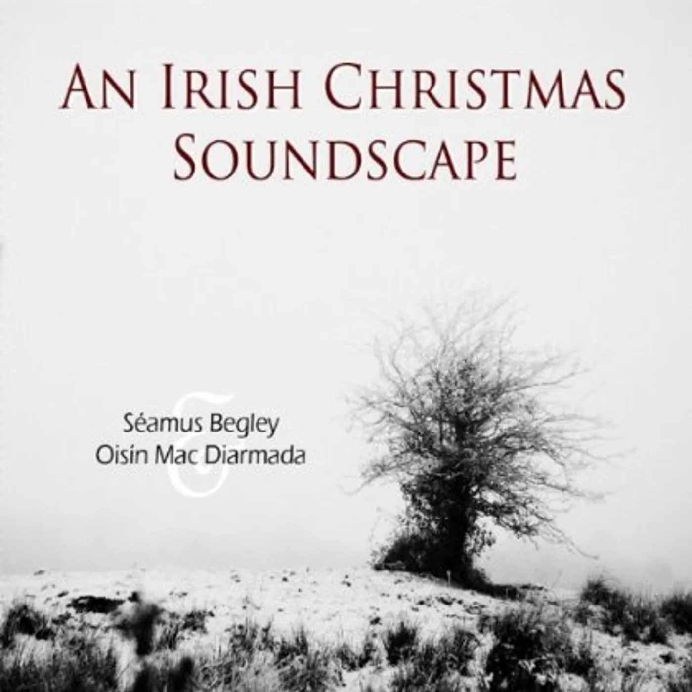 Seamus Begley IRISH CHRISTMAS SOUNDSCAPE CD