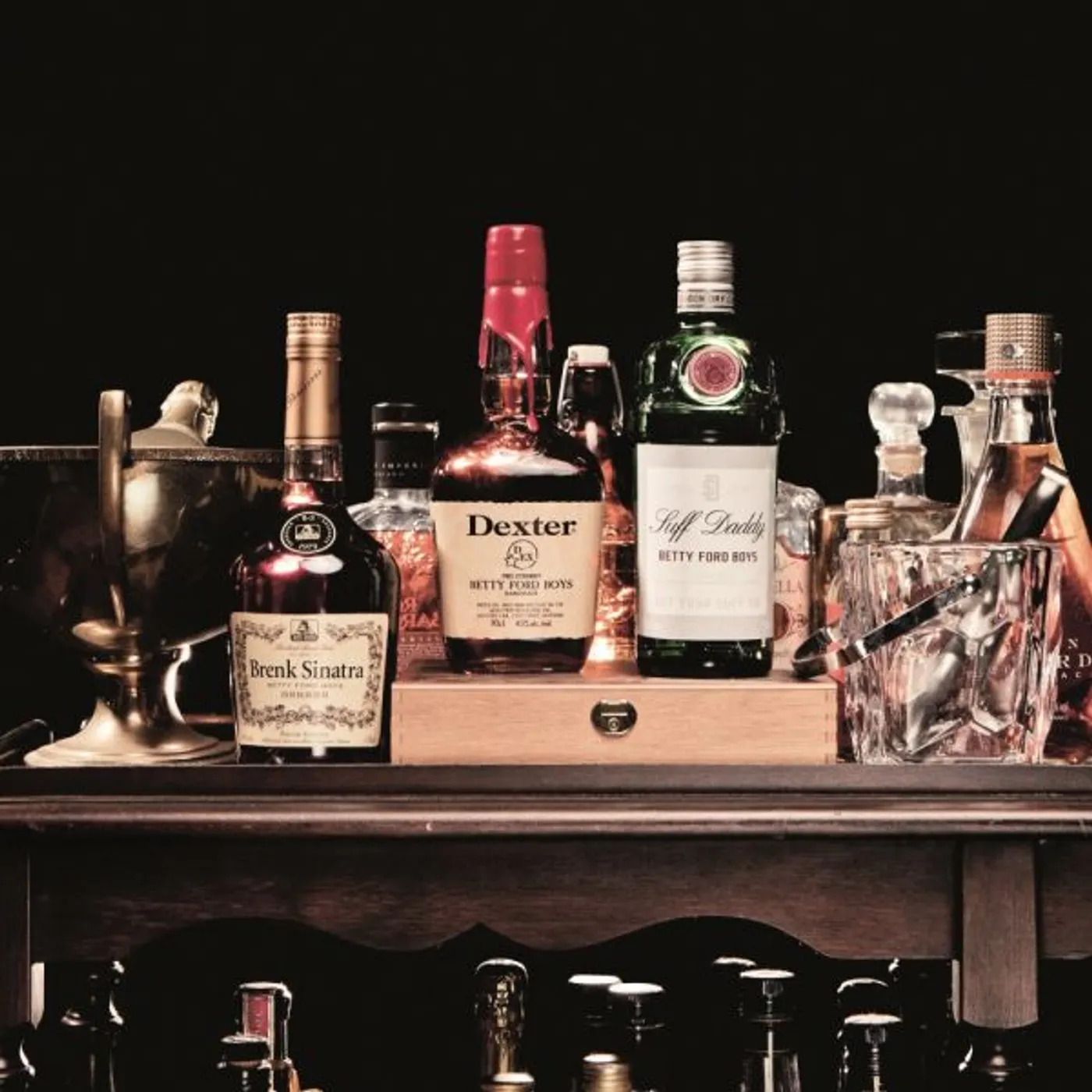 Betty Ford Boys Leaders of the Brew School Vinyl Record