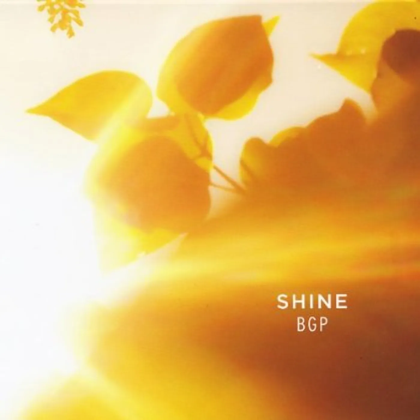 Bluegrass Gospel Project SHINE CD