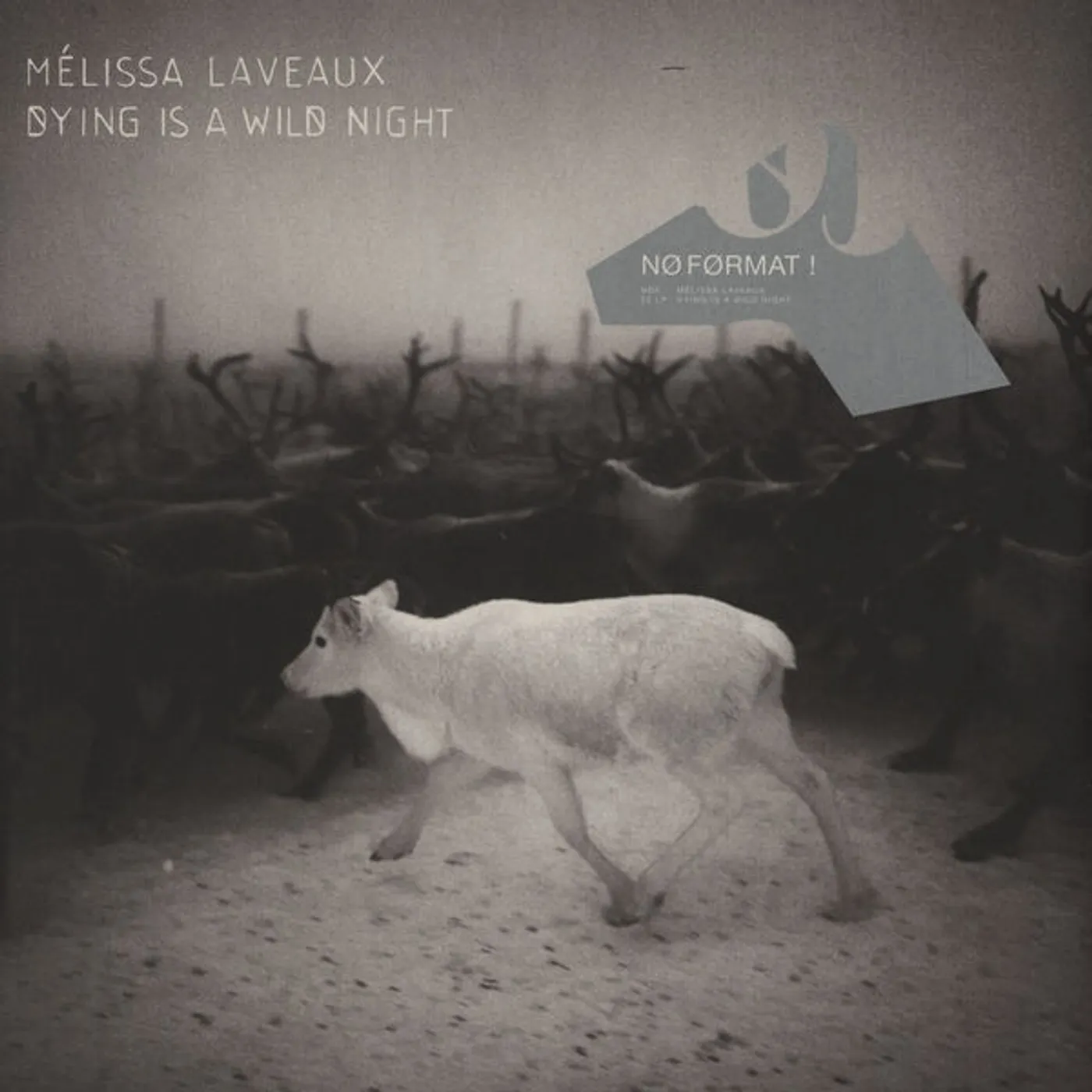 Melissa Laveaux Dying Is a Wild Night Vinyl Record