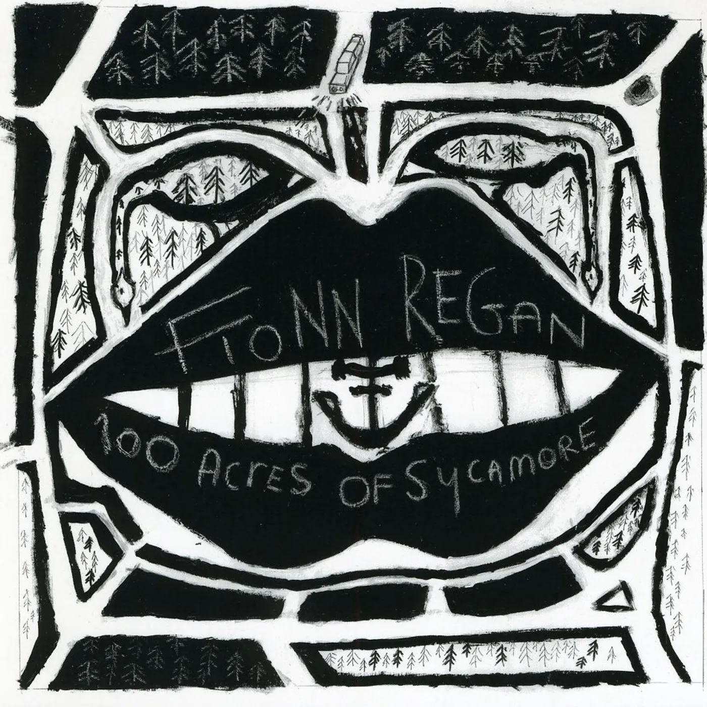 Fionn Regan 100 ACRES OF SYCAMOR CD