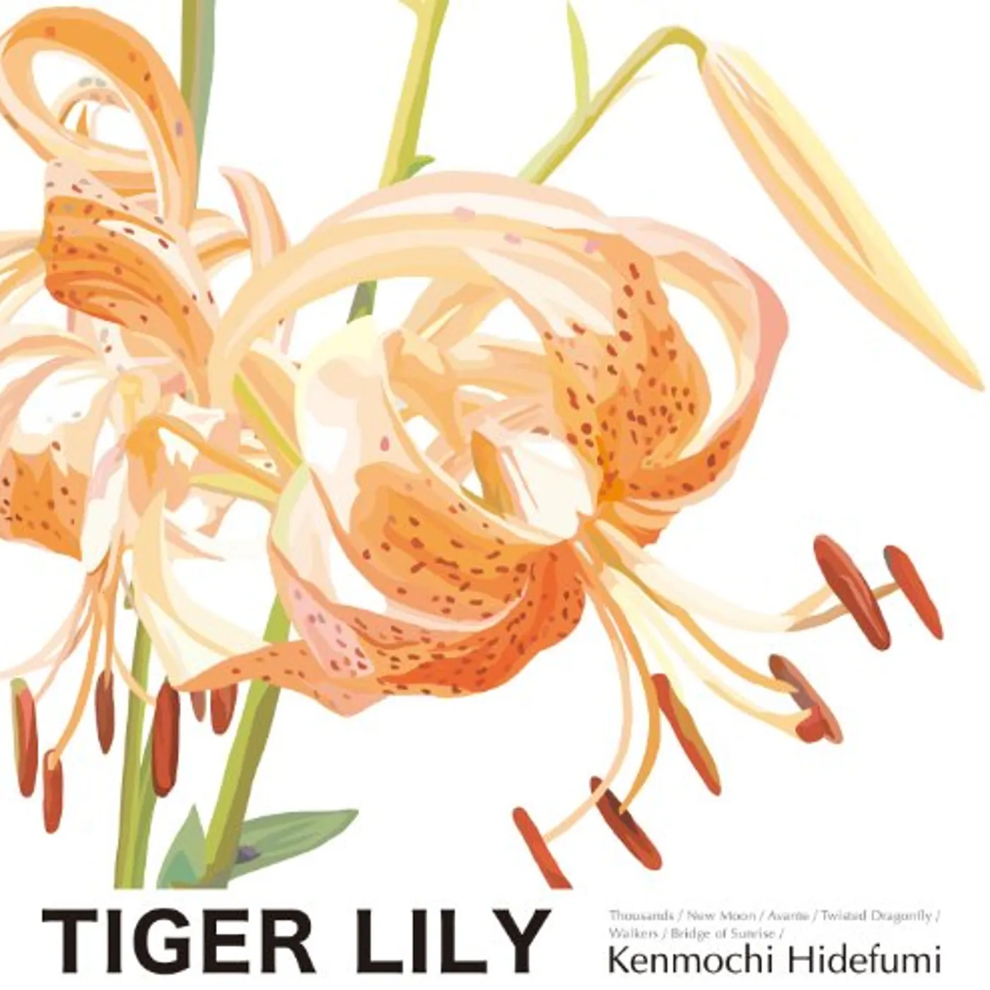 Hidefumi Kenmochi TIGER LILY CD