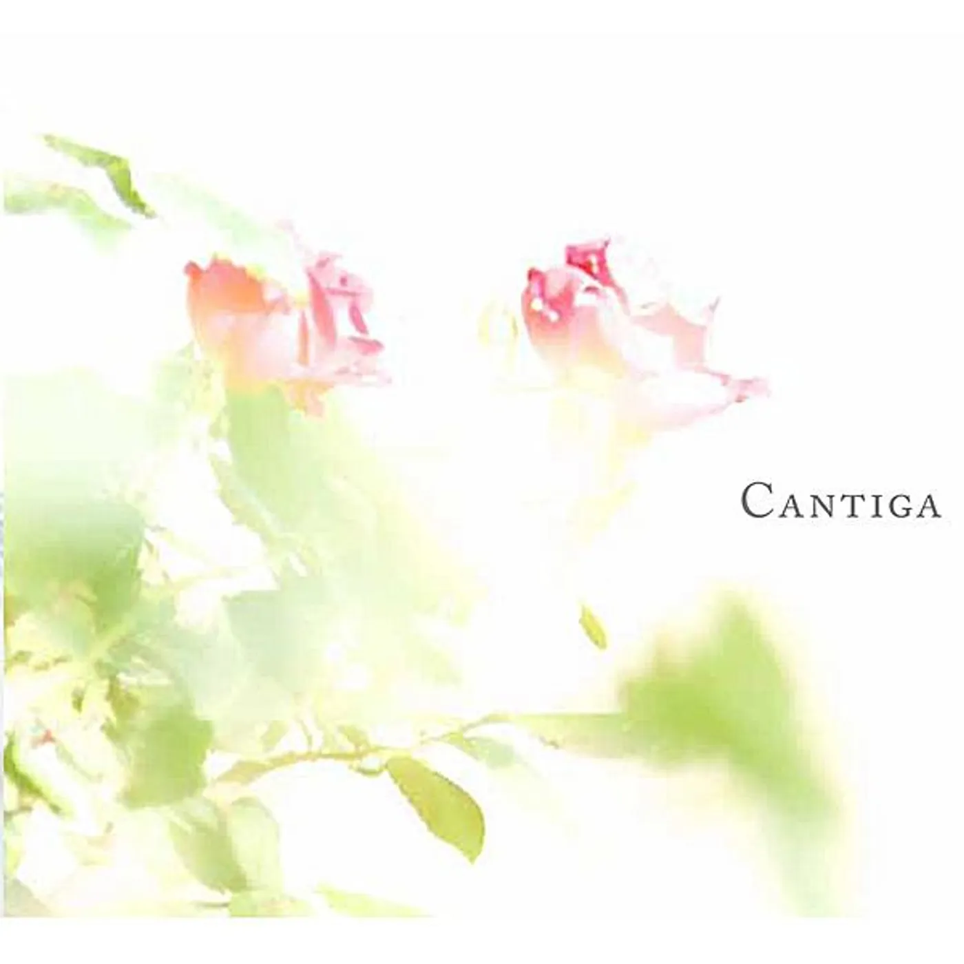Cantiga VILLAGE IN MOTION CD