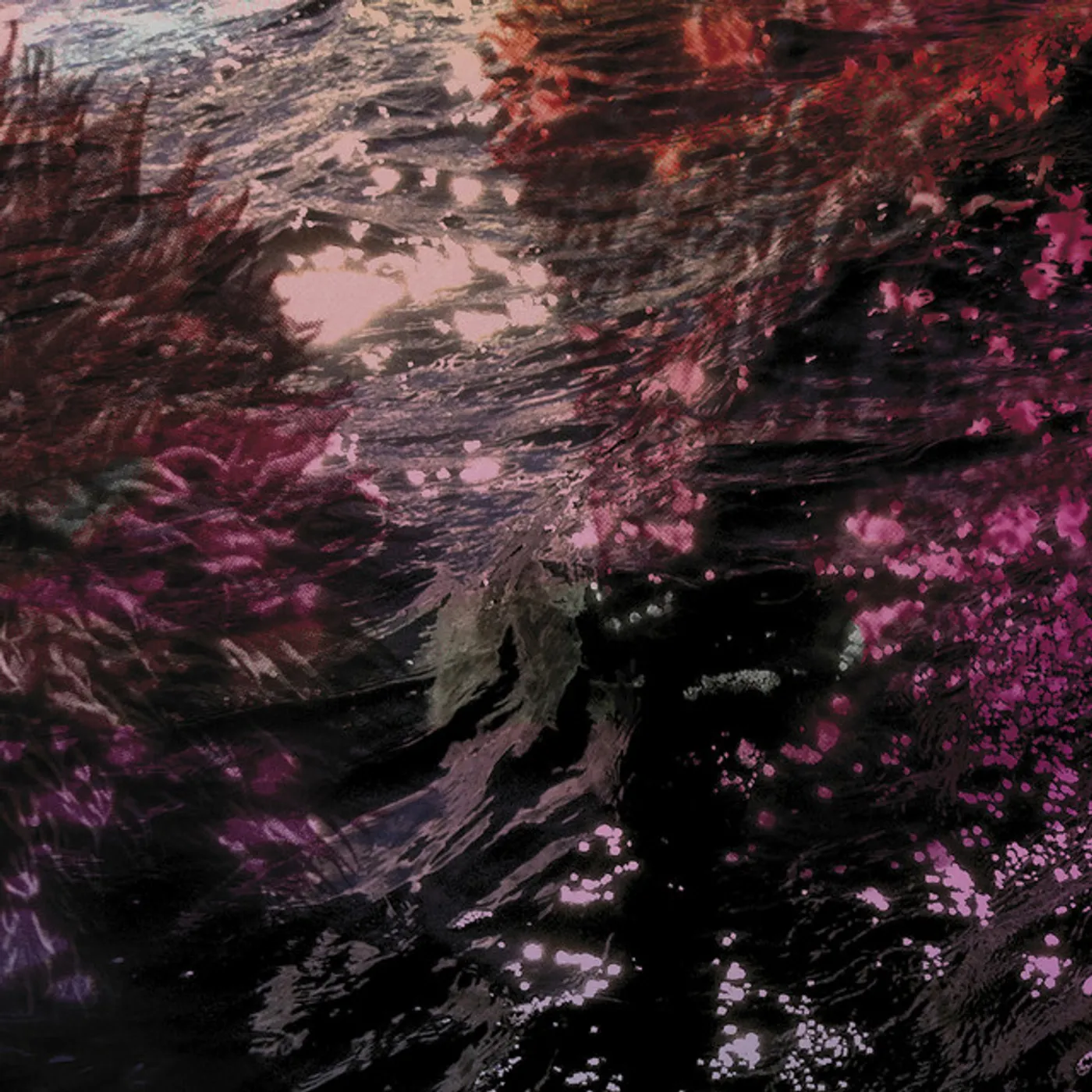 Ricardo Tobar Treillis Vinyl Record