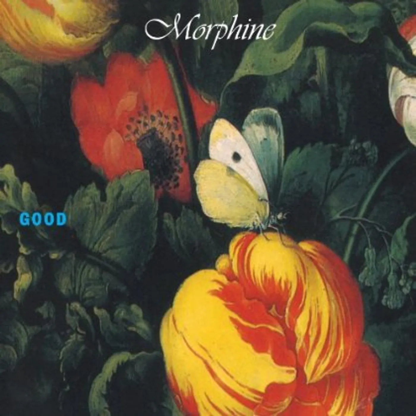 Morphine Good Vinyl Record
