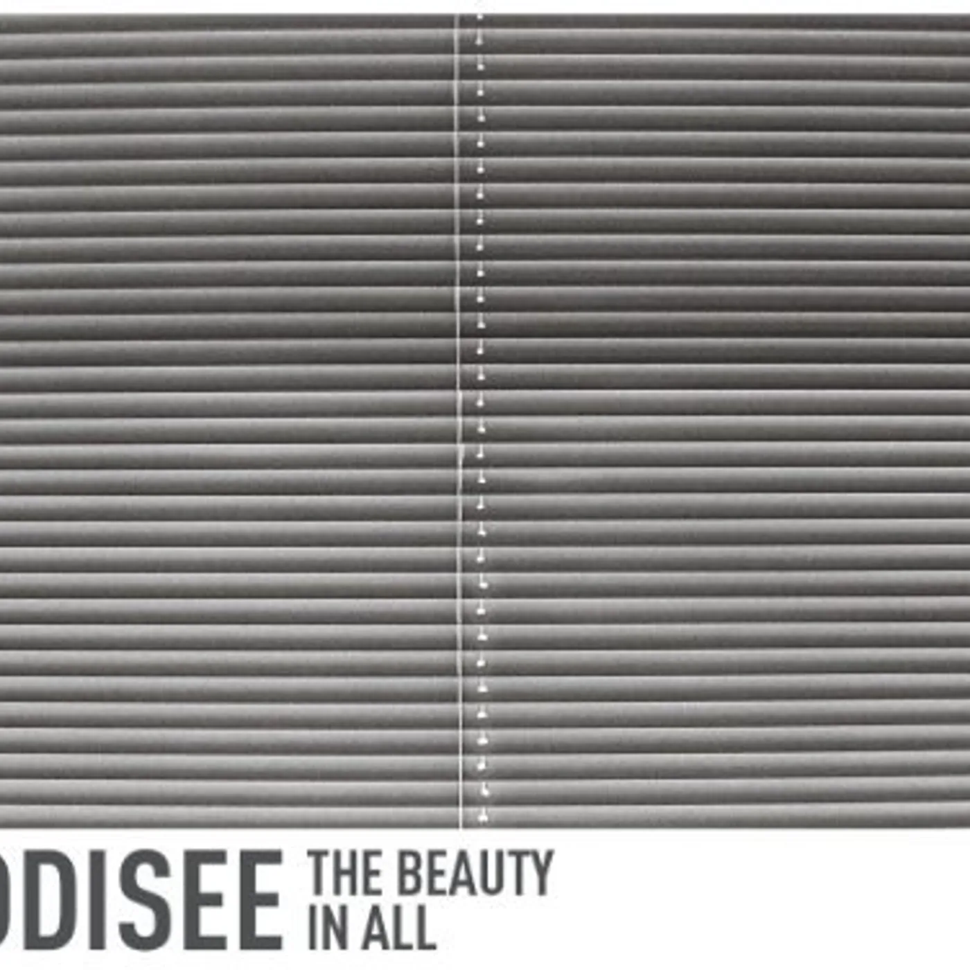 Oddisee BEAUTY IN ALL Vinyl Record