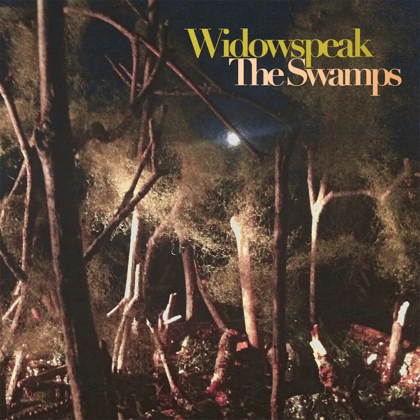 Widowspeak SWAMPS Vinyl Record
