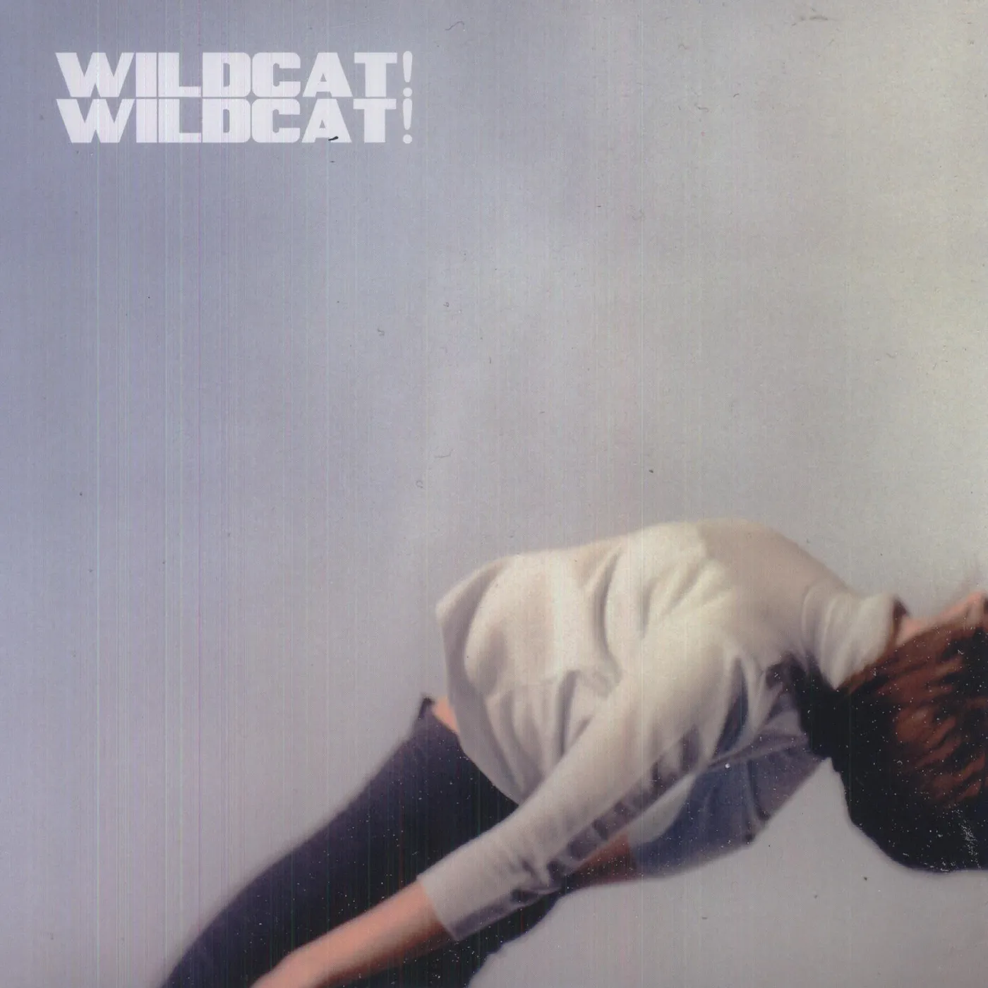 Wildcat! Wildcat! Vinyl Record