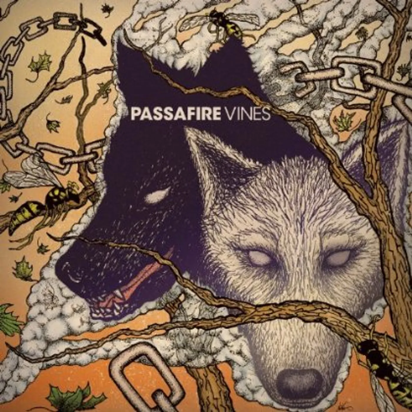 Passafire VINES CD