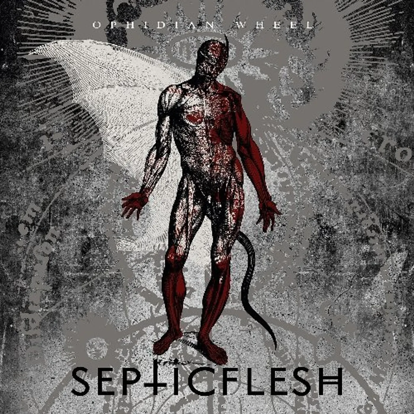 Septicflesh OPHIDIAN WHEEL CD