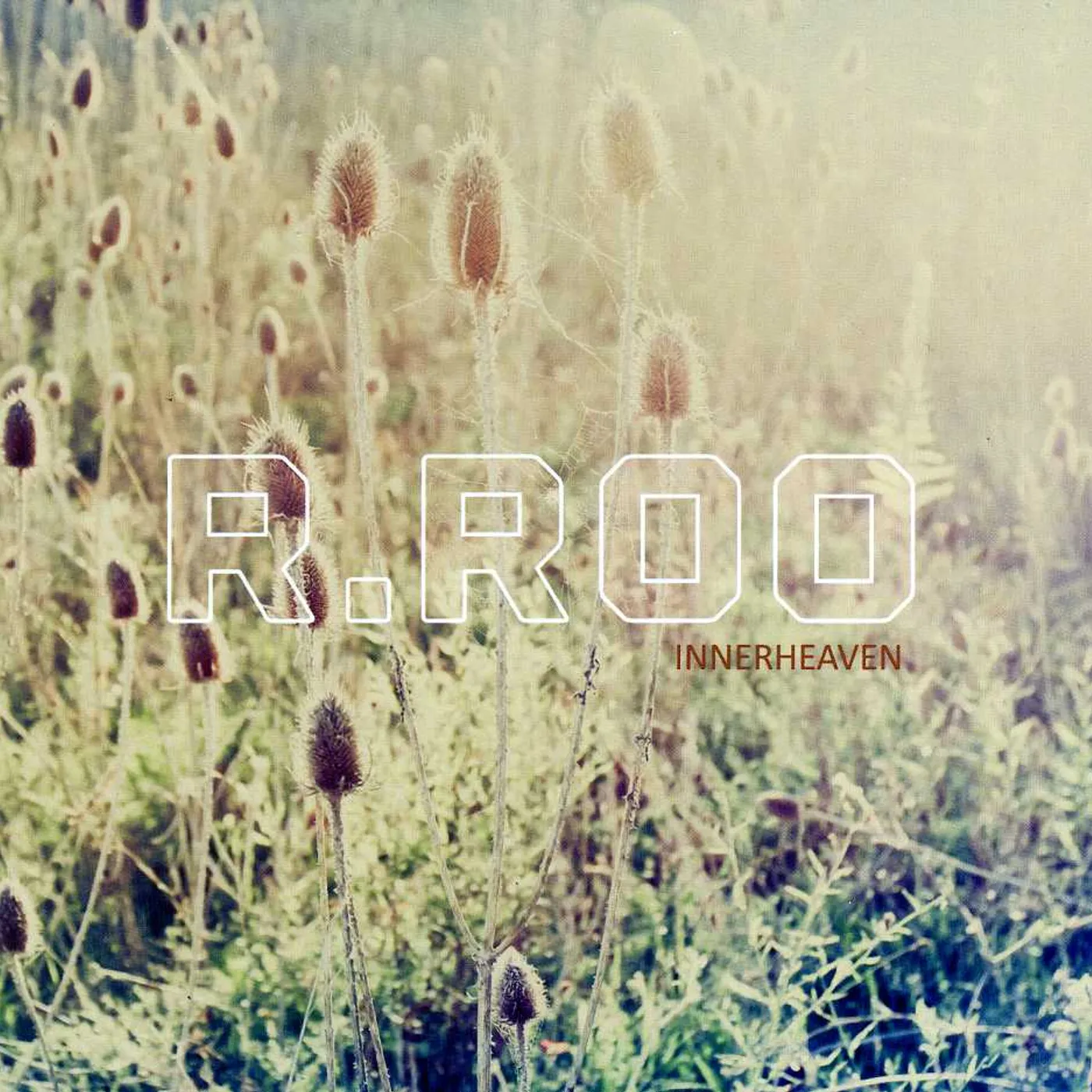 r.roo INNERHEAVEN CD