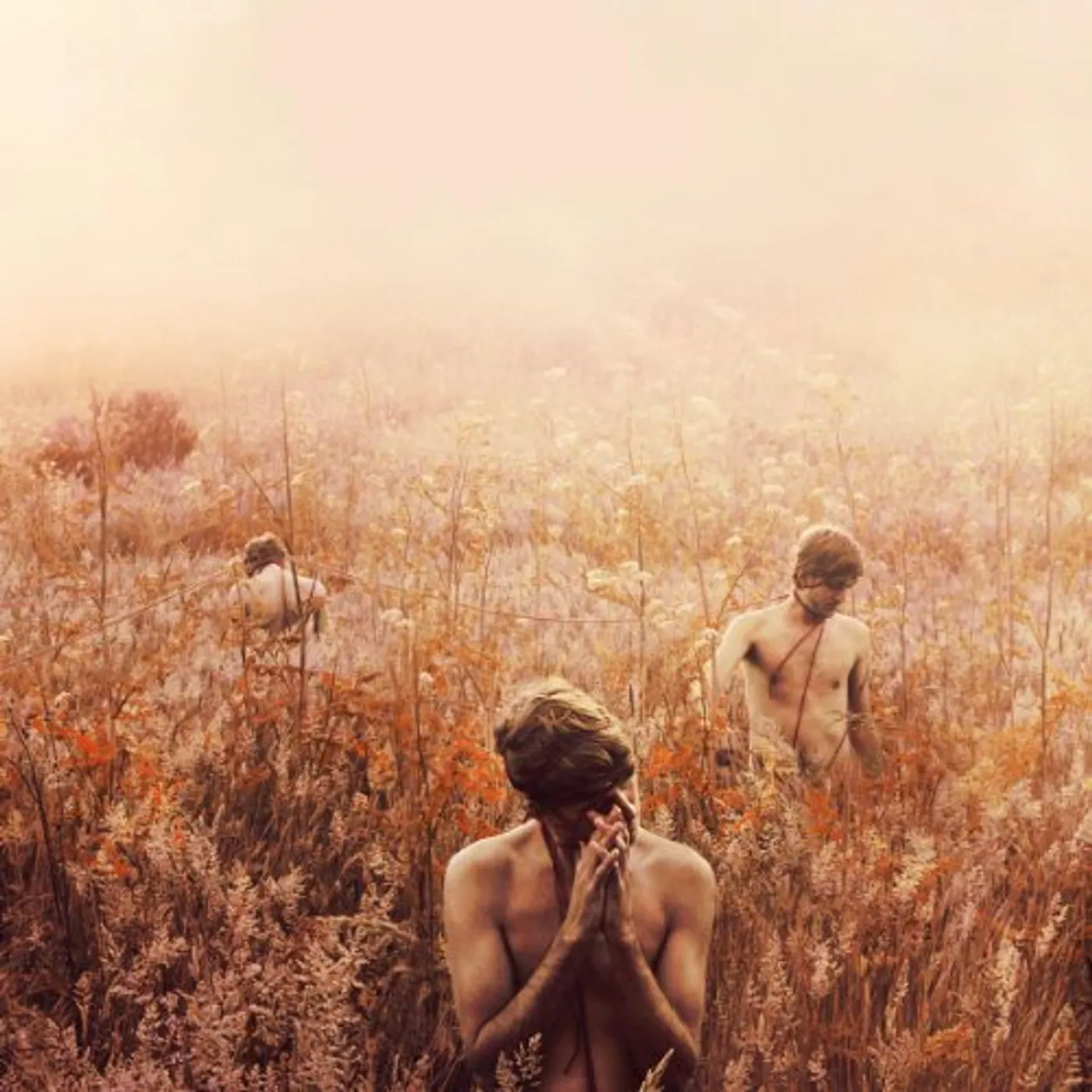 Sebastian Plano Arrhythmical Part Of Hearts Vinyl Record